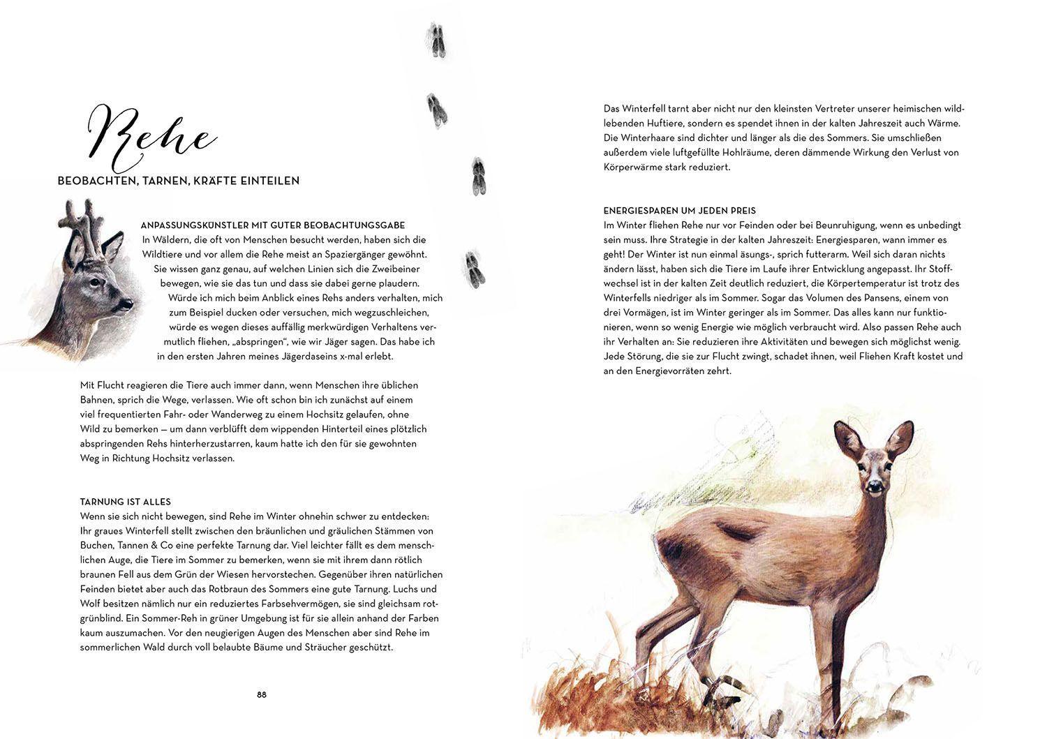 Beispielinhalt (Bild) Winterzauber