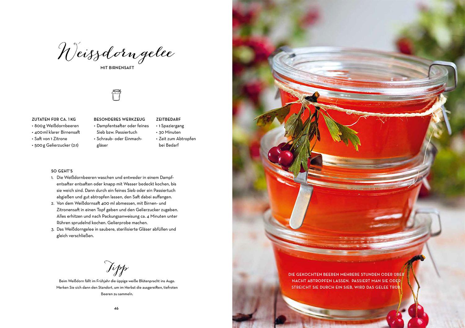 Beispielinhalt (Bild) Winterzauber