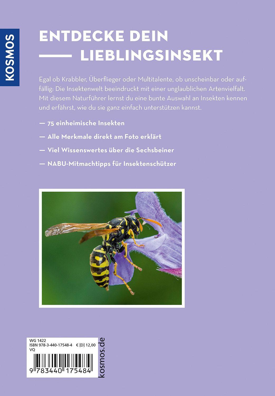 Beispielinhalt (Bild) Wer summt denn hier?