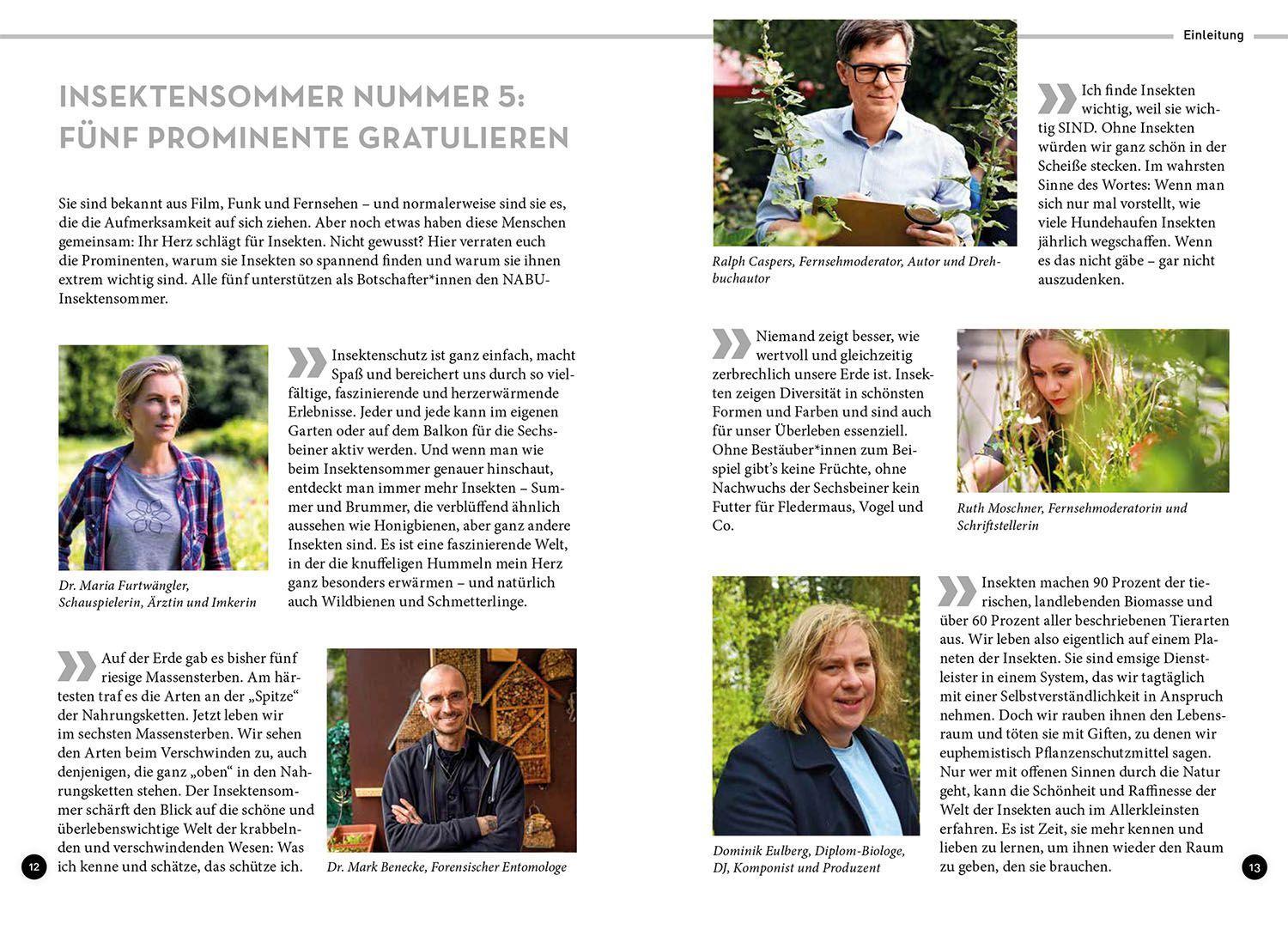 Beispielinhalt (Bild) Wer summt denn hier?