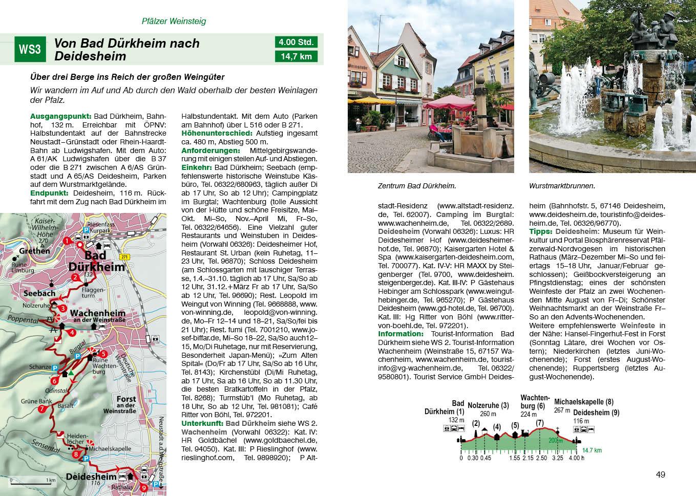 Beispielinhalt (Bild) Pfälzer Weinsteig