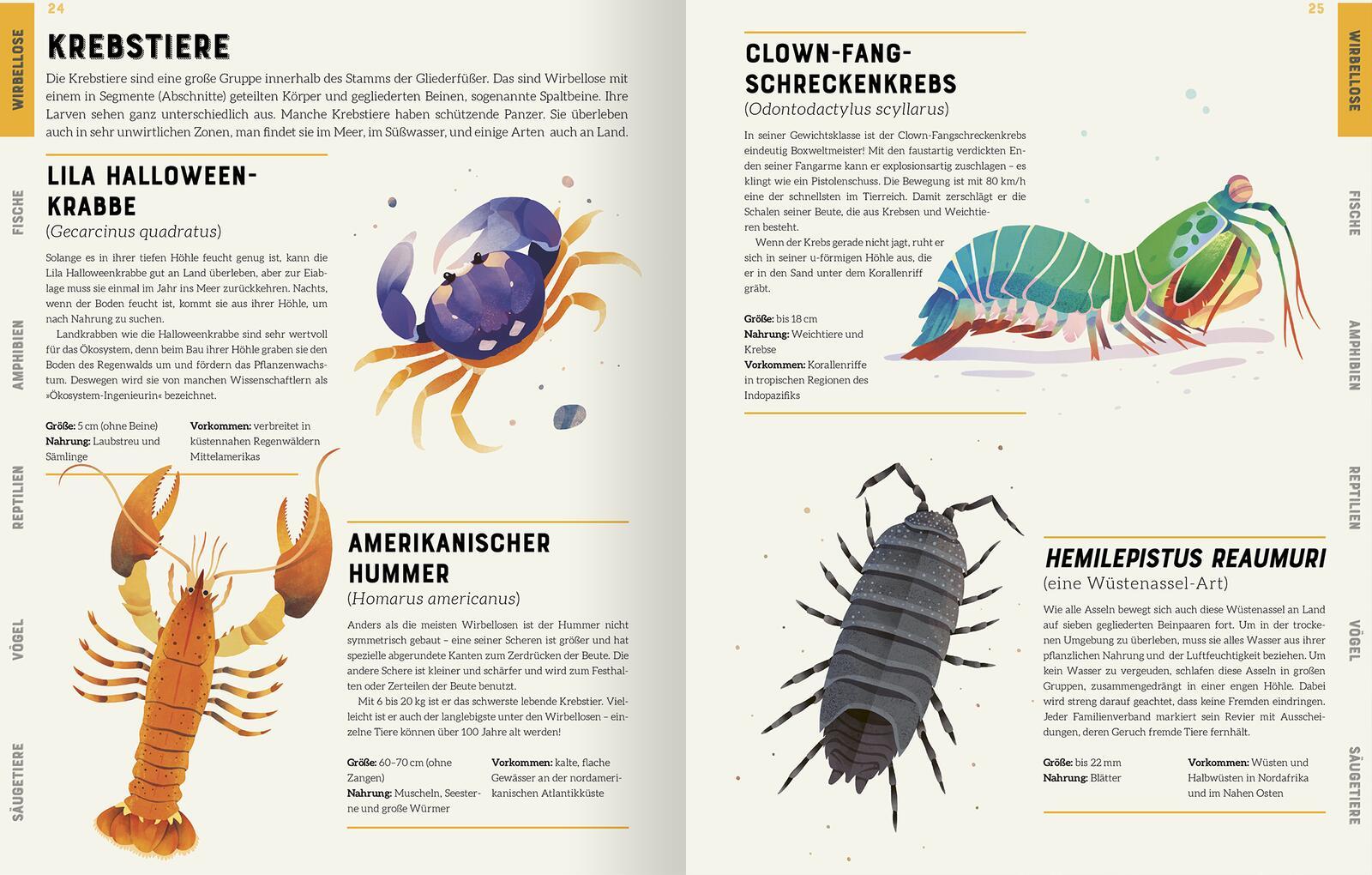 Beispielinhalt (Bild) Das große Lexikon der Tiere