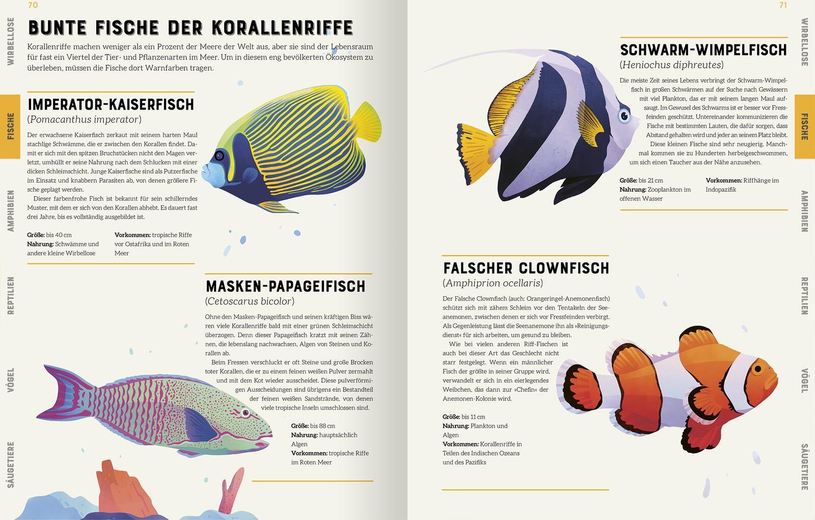 Beispielinhalt (Bild) Das große Lexikon der Tiere