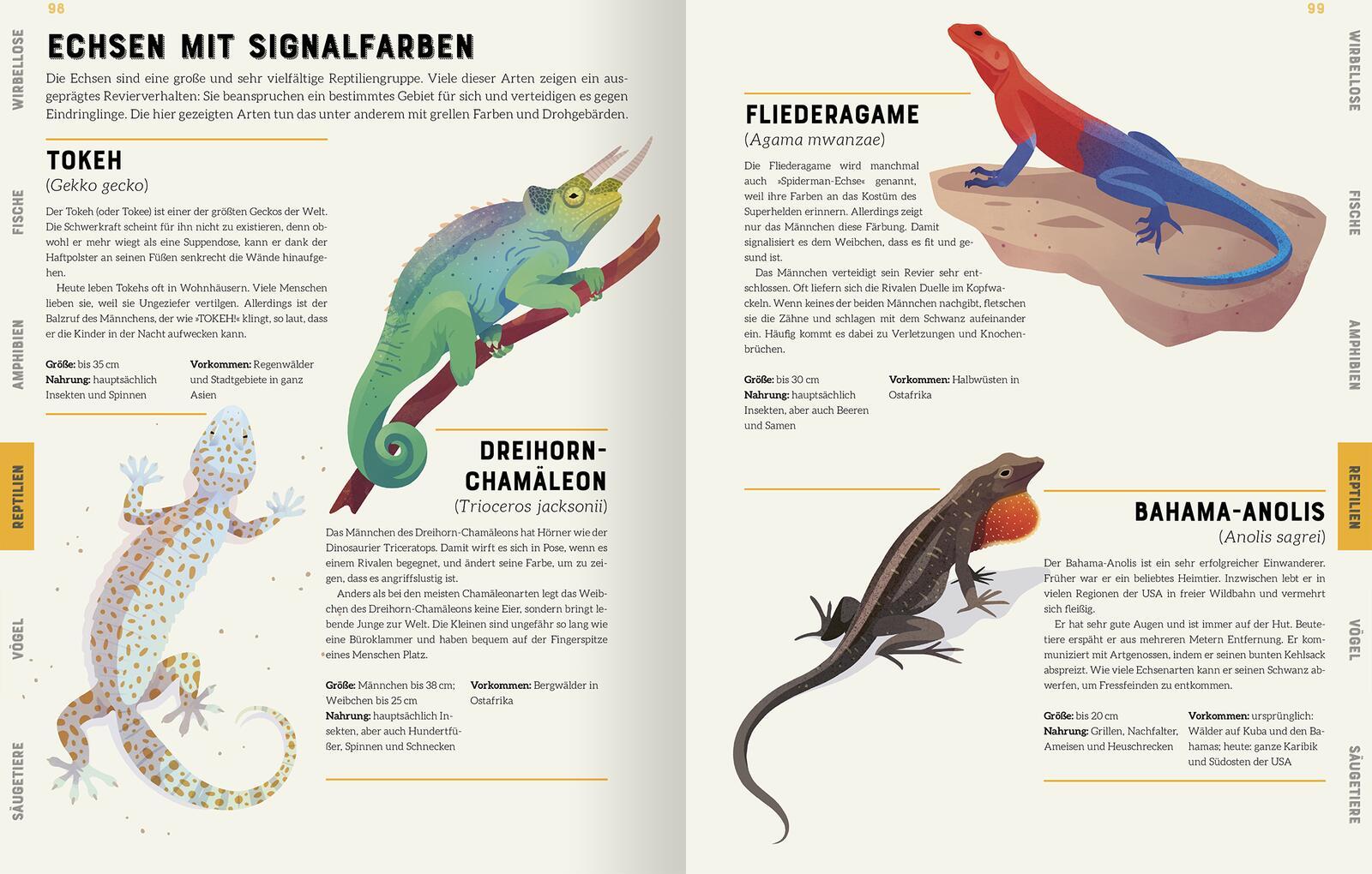 Beispielinhalt (Bild) Das große Lexikon der Tiere