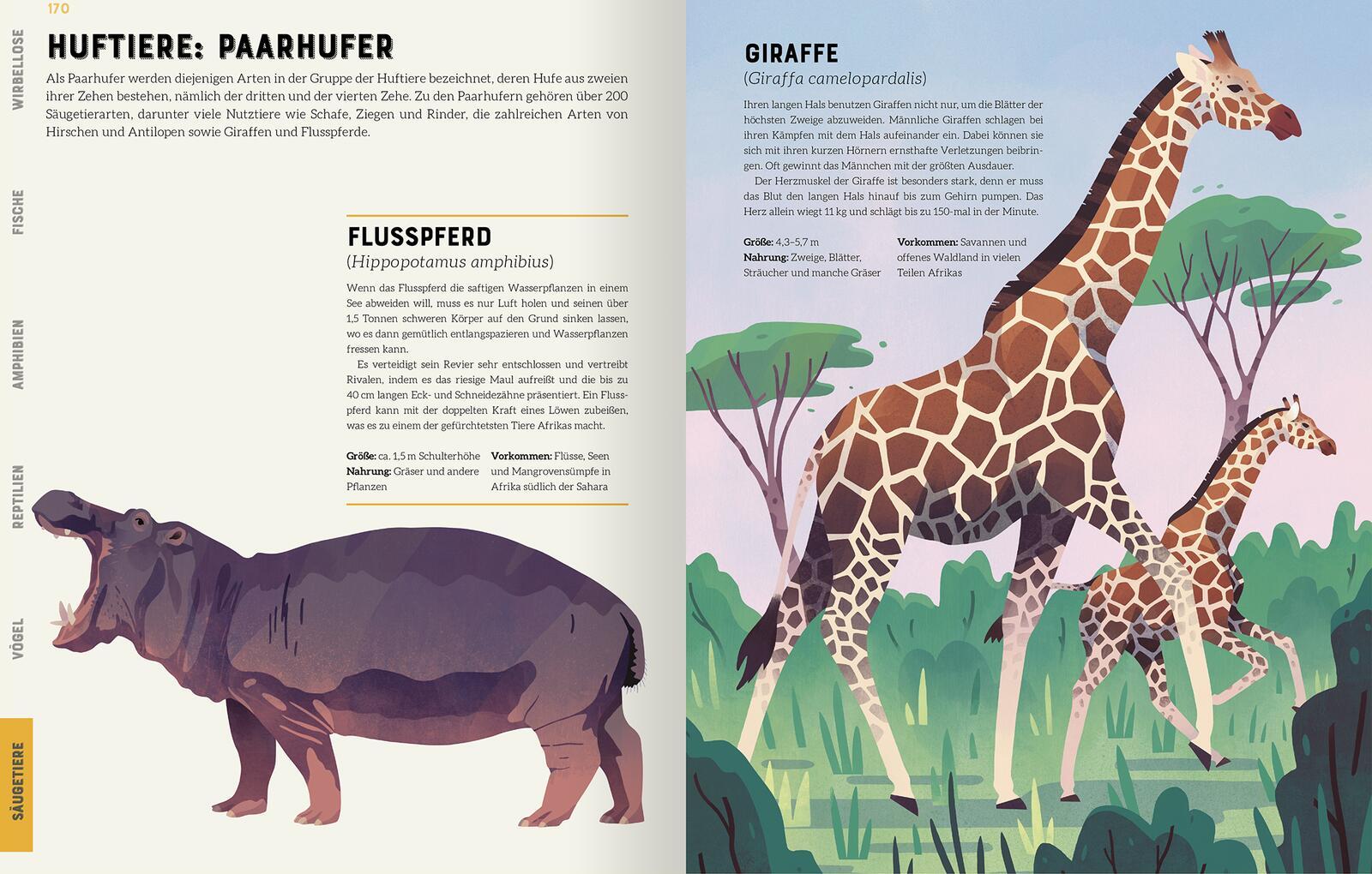 Beispielinhalt (Bild) Das große Lexikon der Tiere