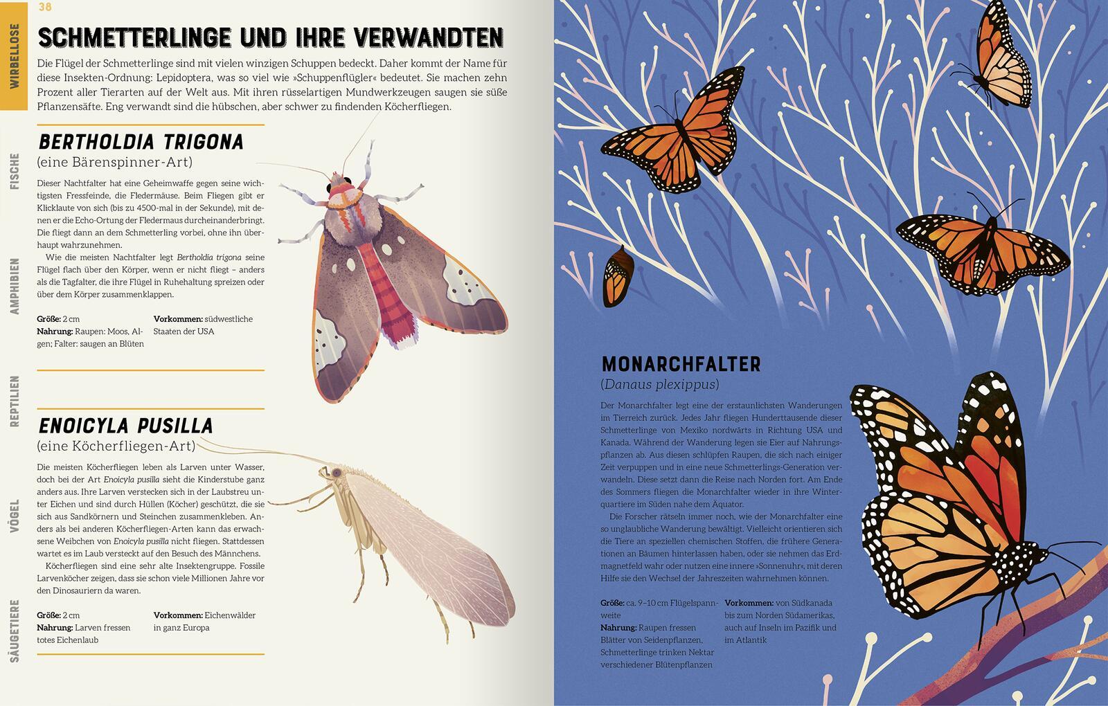 Beispielinhalt (Bild) Das große Lexikon der Tiere