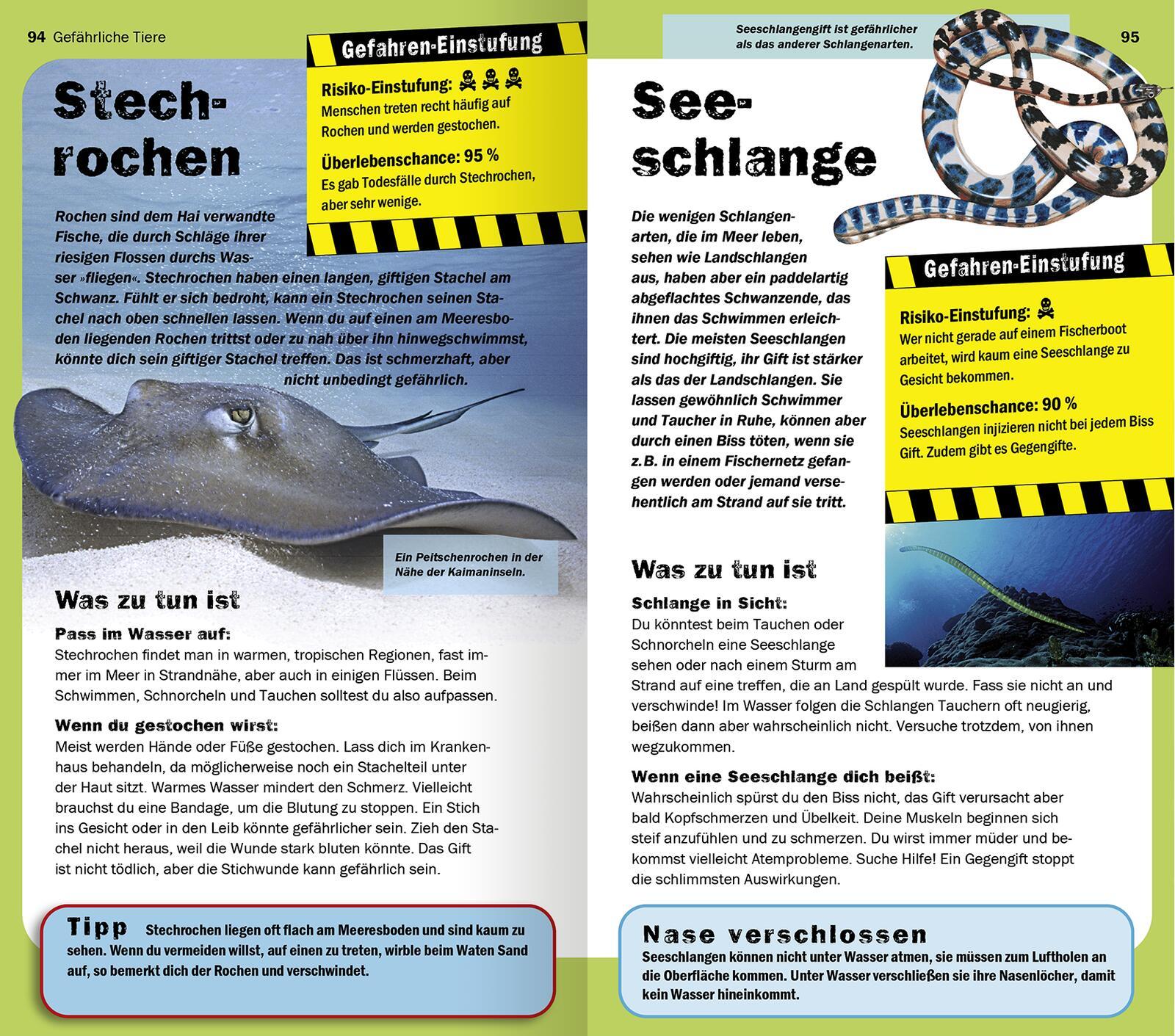Beispielinhalt (Bild) Die 100 gefährlichsten Dinge der Welt