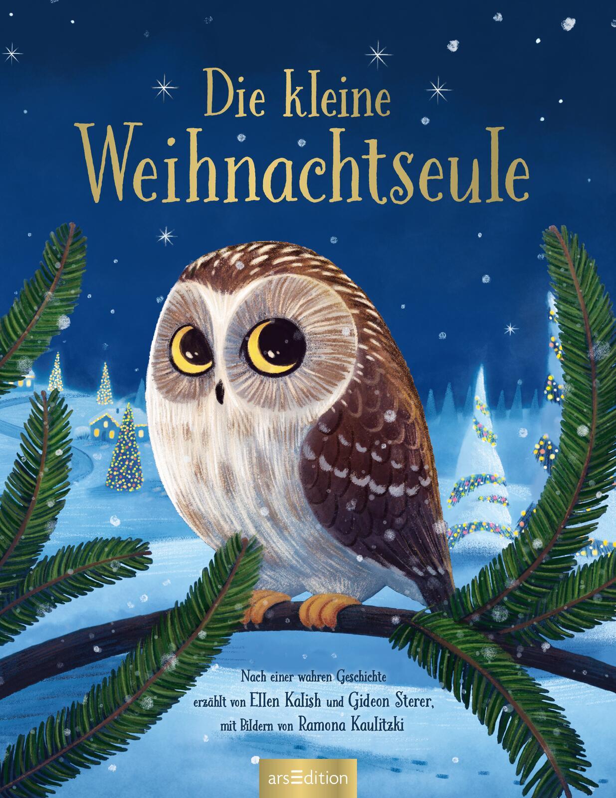 Beispielinhalt (Bild) Die kleine Weihnachtseule