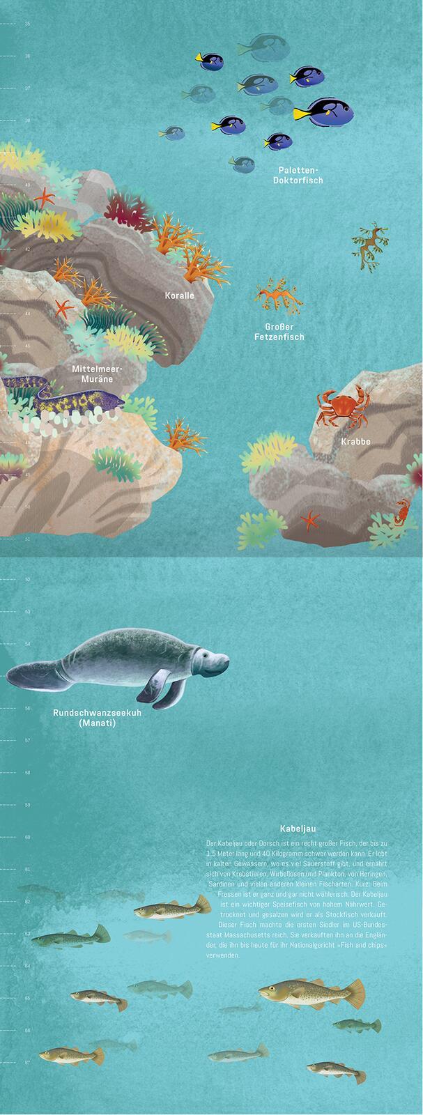 Beispielinhalt (Bild) Hinab ins tiefe Blau