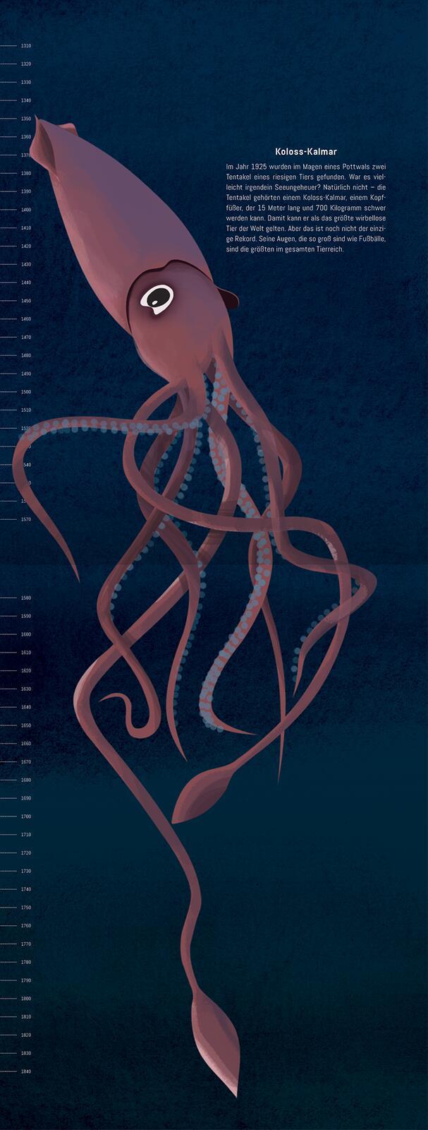 Beispielinhalt (Bild) Hinab ins tiefe Blau