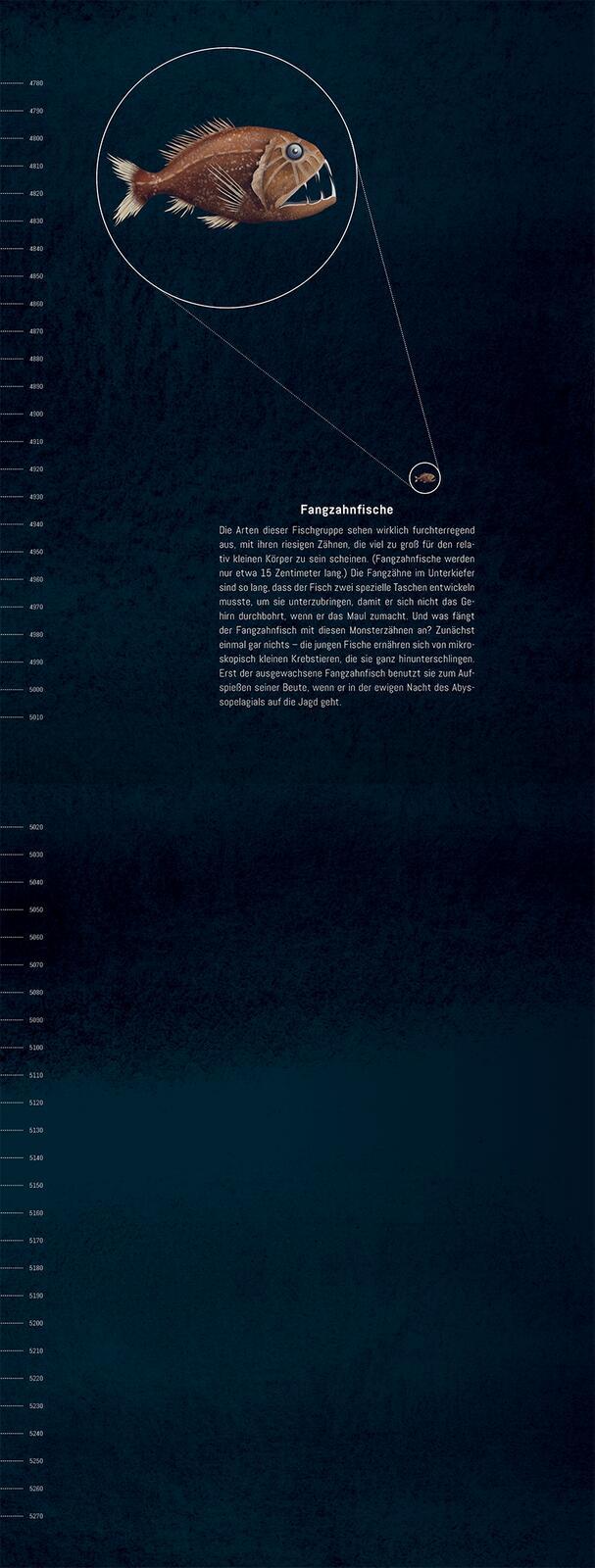 Beispielinhalt (Bild) Hinab ins tiefe Blau