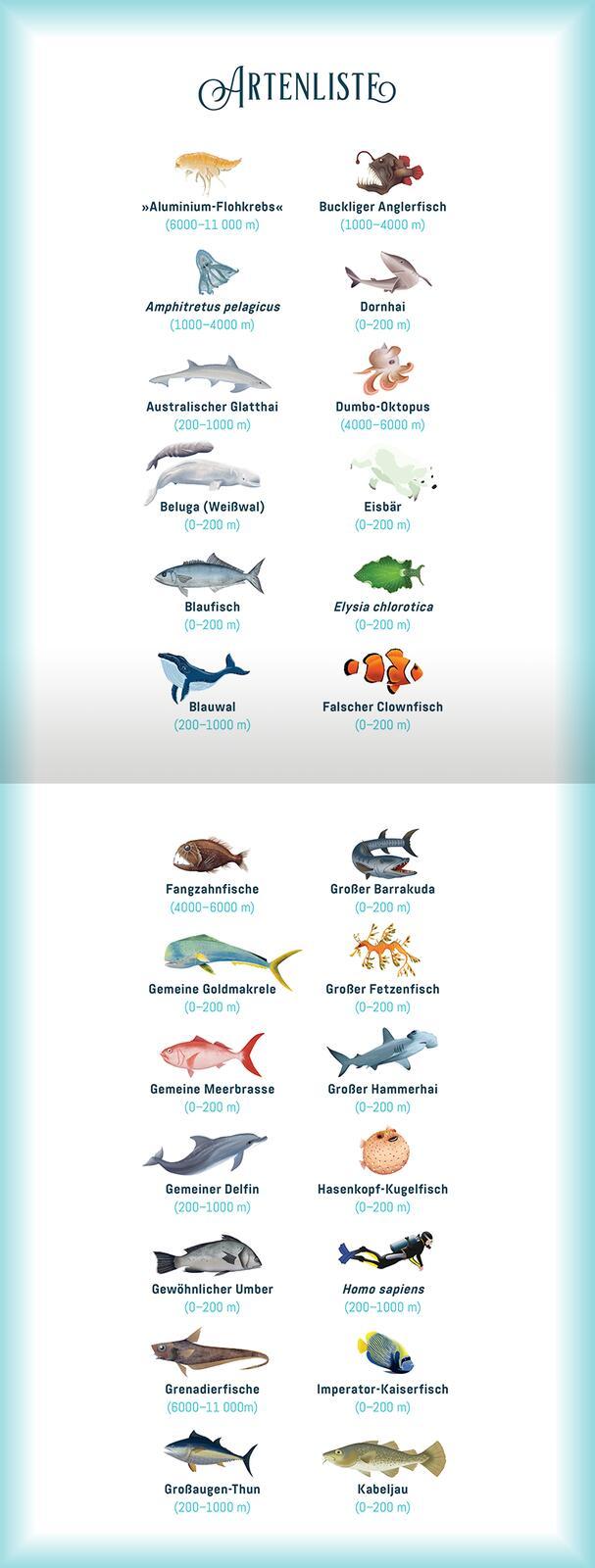 Beispielinhalt (Bild) Hinab ins tiefe Blau