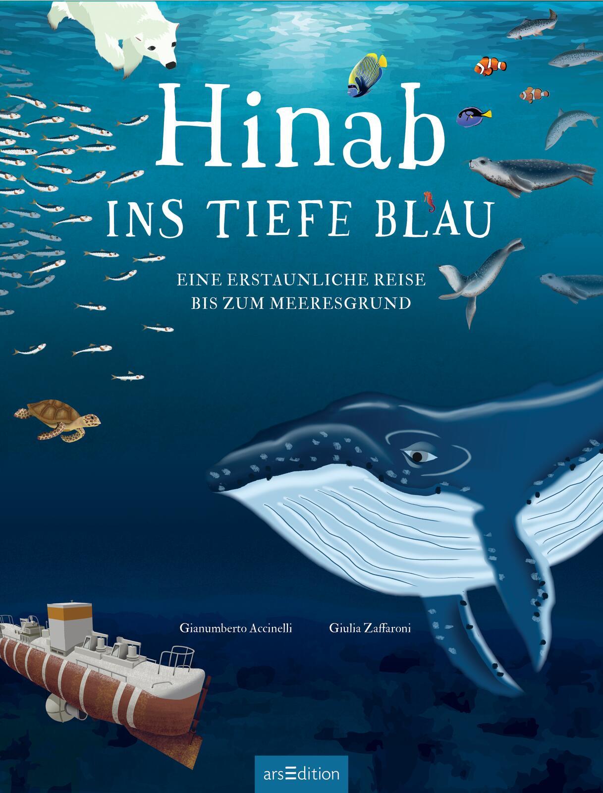 Beispielinhalt (Bild) Hinab ins tiefe Blau