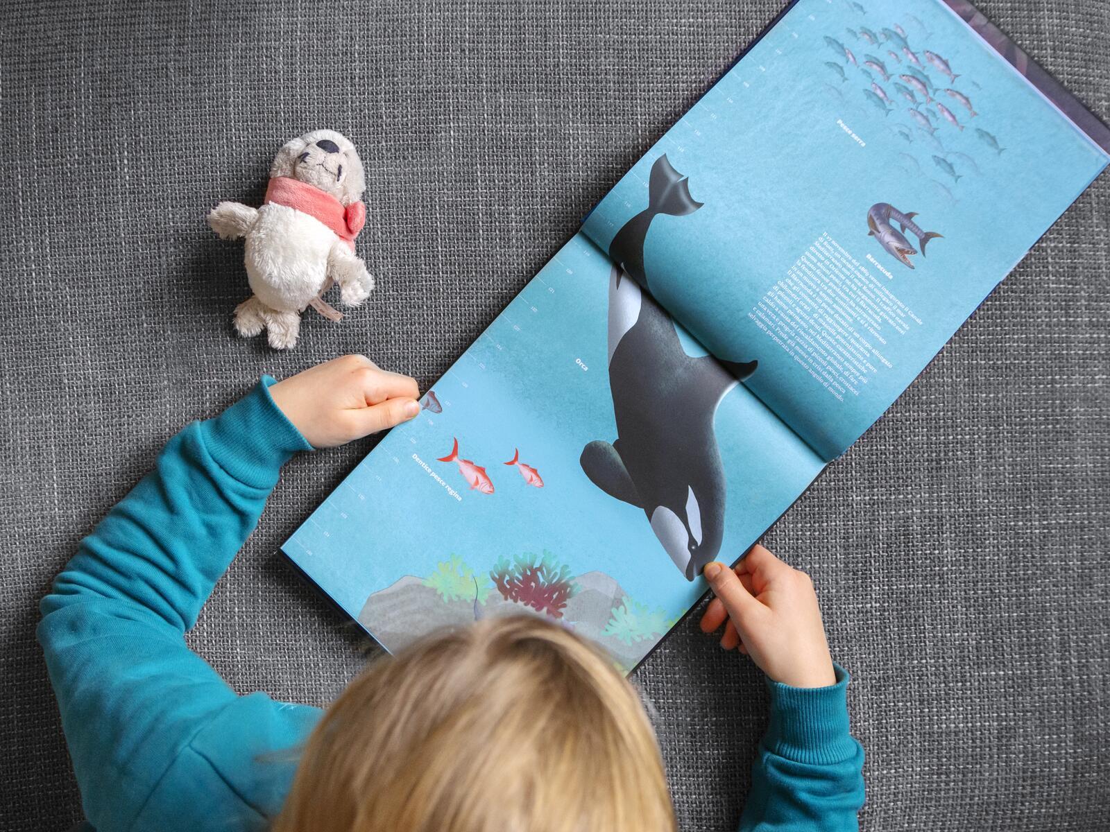 Beispielinhalt (Bild) Hinab ins tiefe Blau