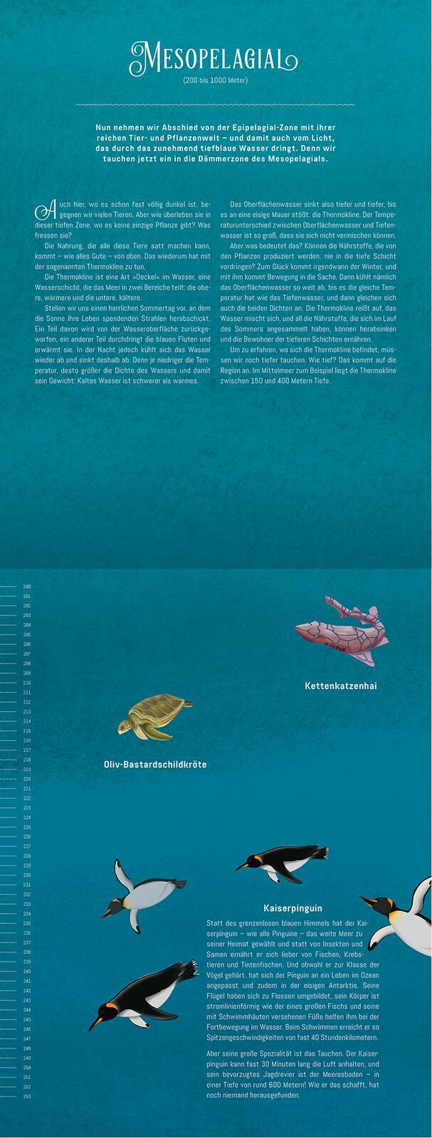 Beispielinhalt (Bild) Hinab ins tiefe Blau