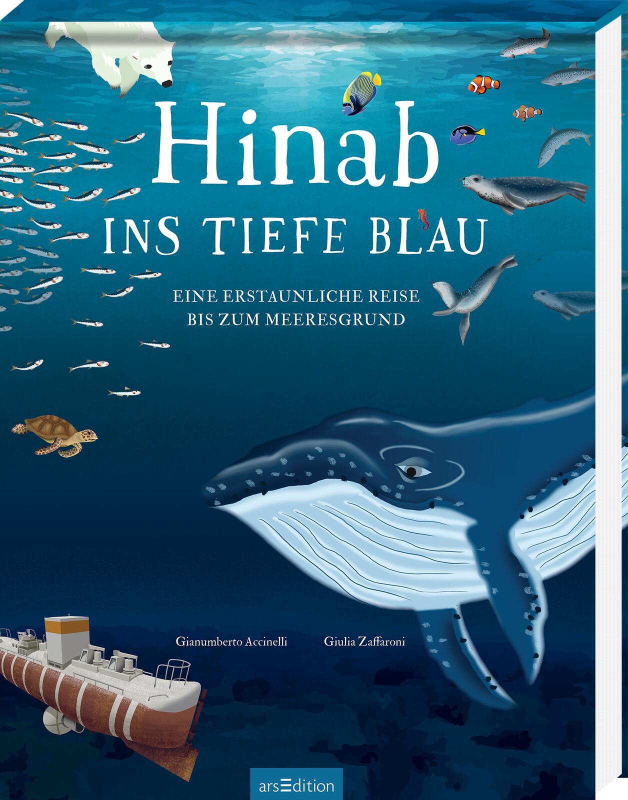 Vorderes Coverbild Hinab ins tiefe Blau