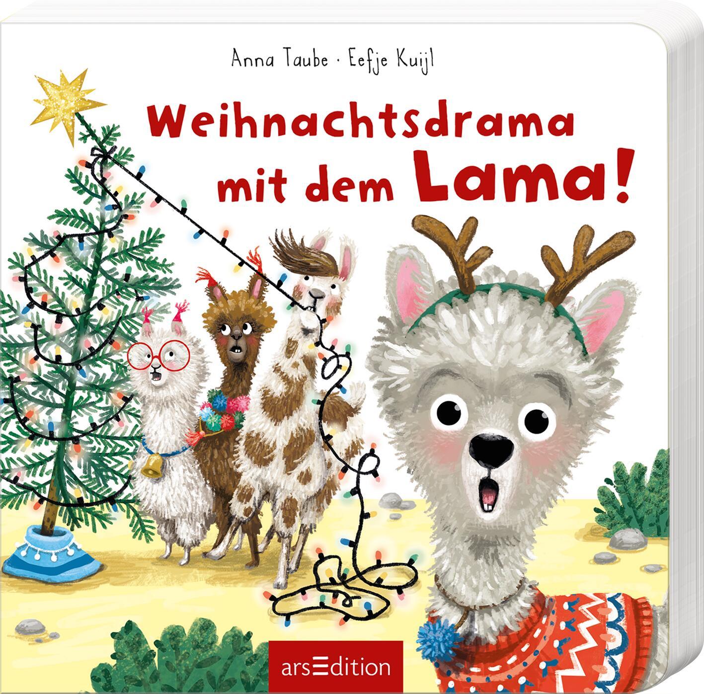 Vorderes Coverbild Weihnachtsdrama mit dem Lama