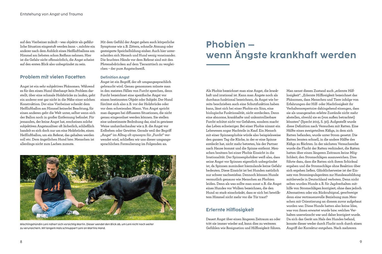 Beispielinhalt (Bild) Angst bei Hunden - mit Martin Rütter