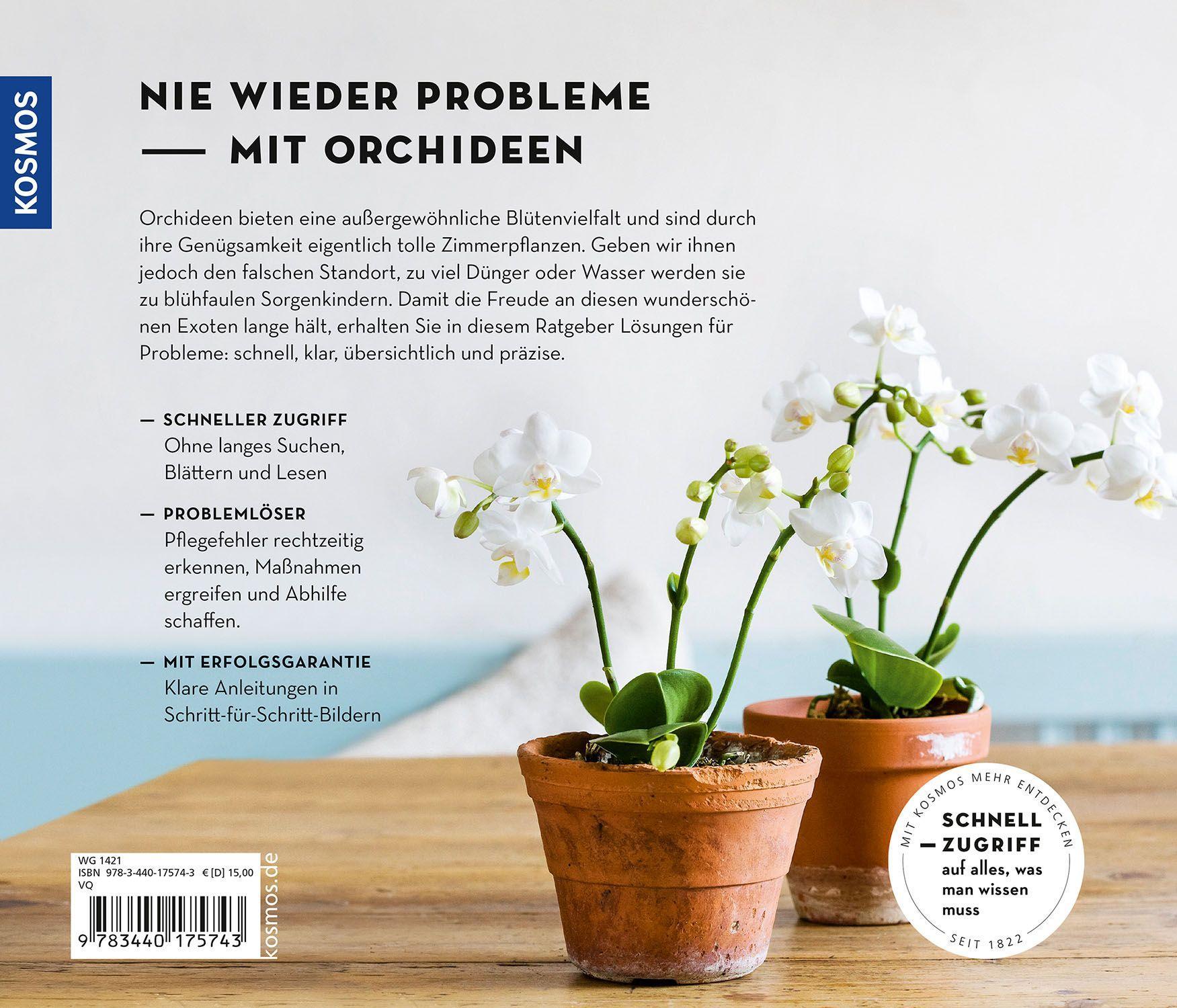 Beispielinhalt (Bild) Orchideen