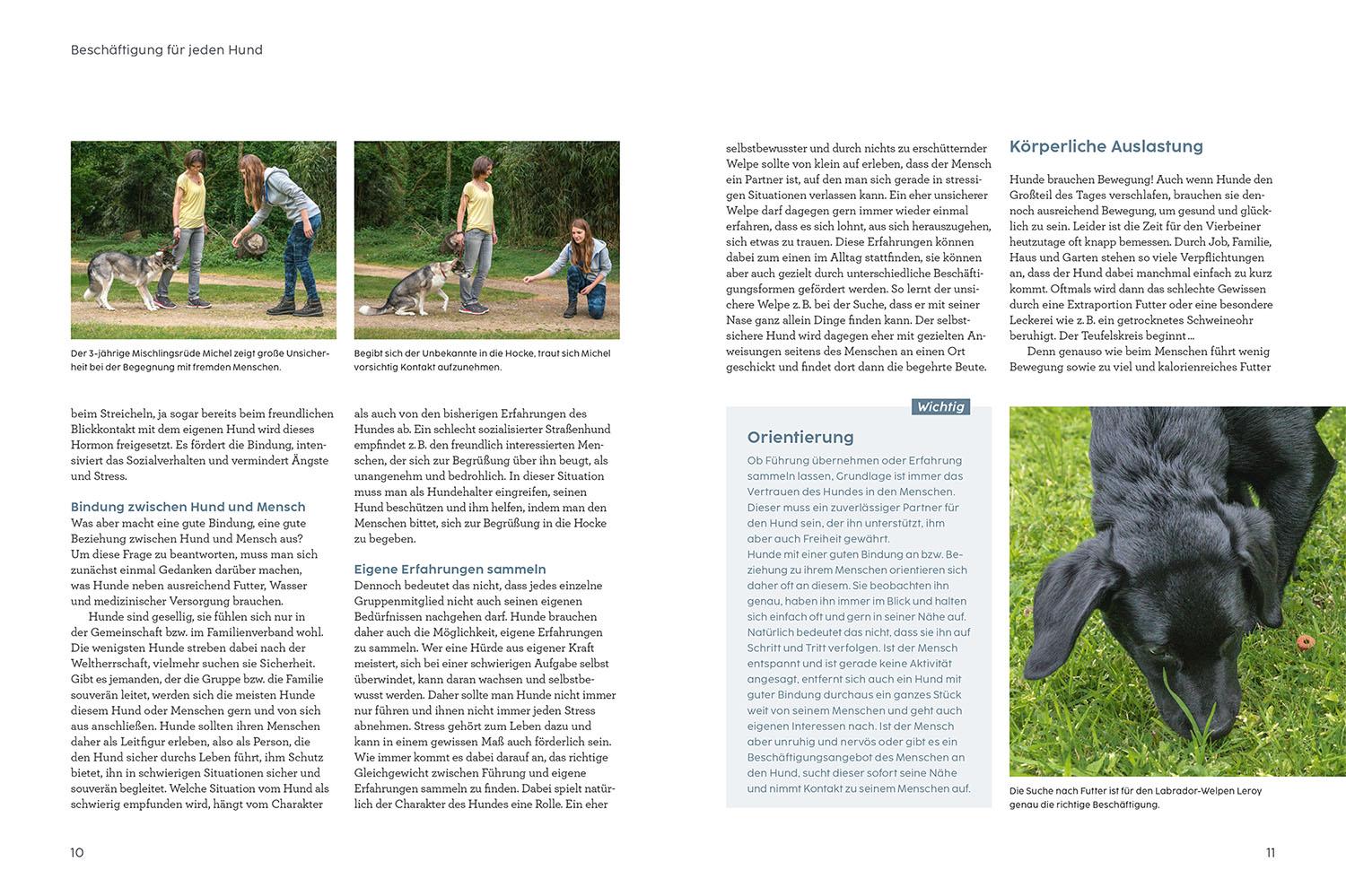 Beispielinhalt (Bild) Hunde beschäftigen mit Martin Rütter