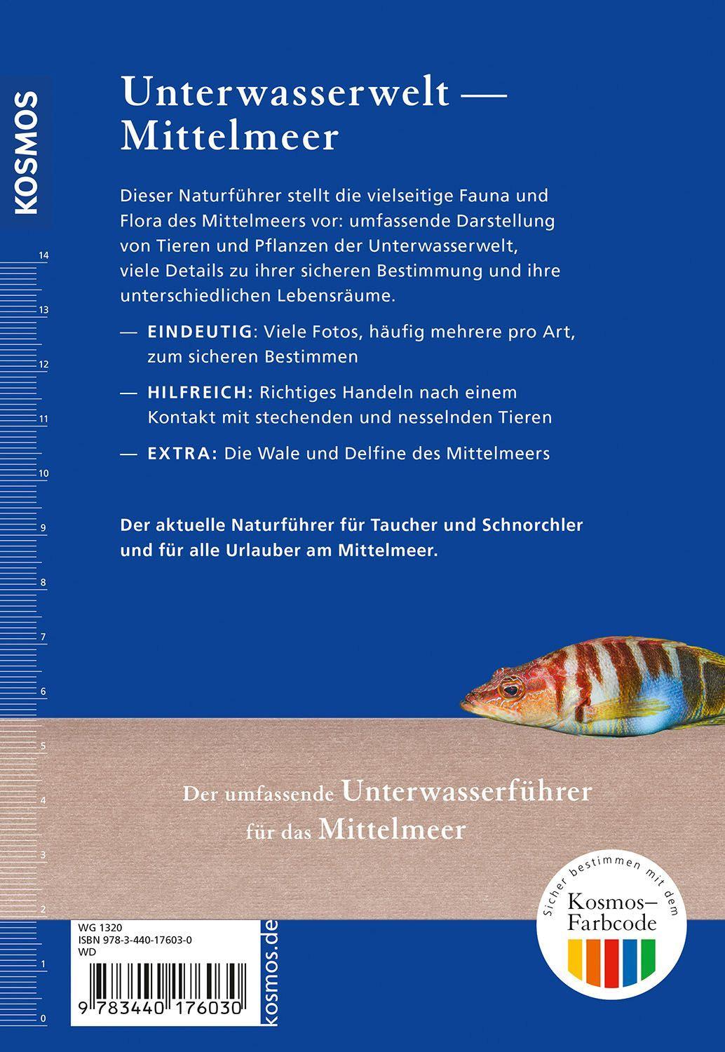 Beispielinhalt (Bild) Was lebt im Mittelmeer?
