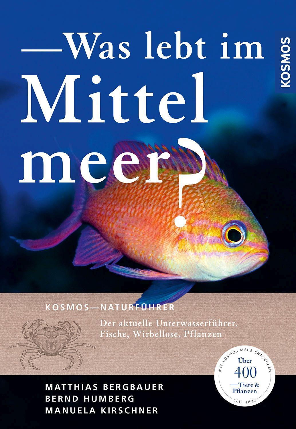 Vorderes Coverbild Was lebt im Mittelmeer?
