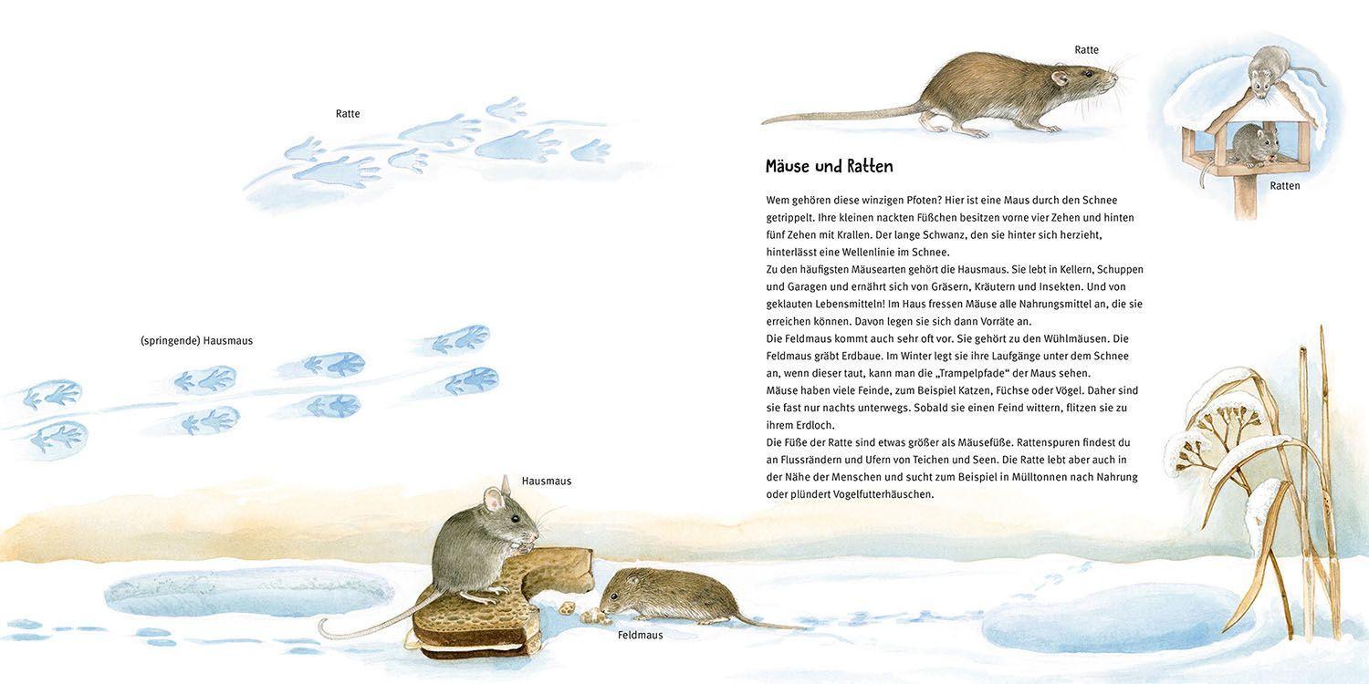 Beispielinhalt (Bild) Welches Tier lief denn hier?