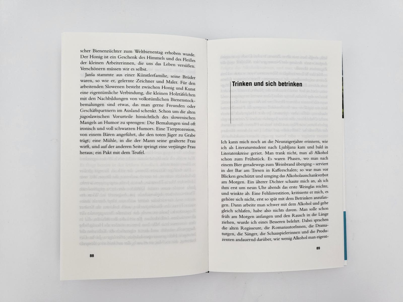 Beispielinhalt (Bild) Gebrauchsanweisung für Slowenien