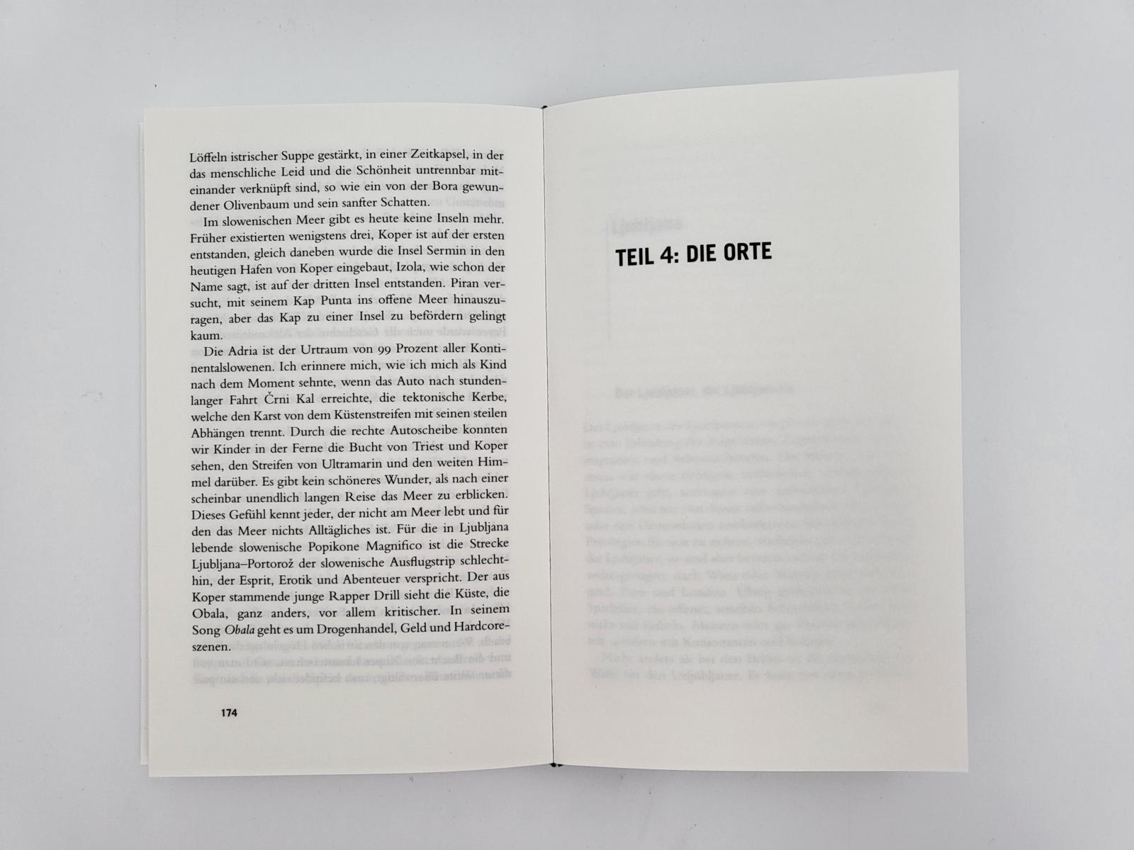 Beispielinhalt (Bild) Gebrauchsanweisung für Slowenien