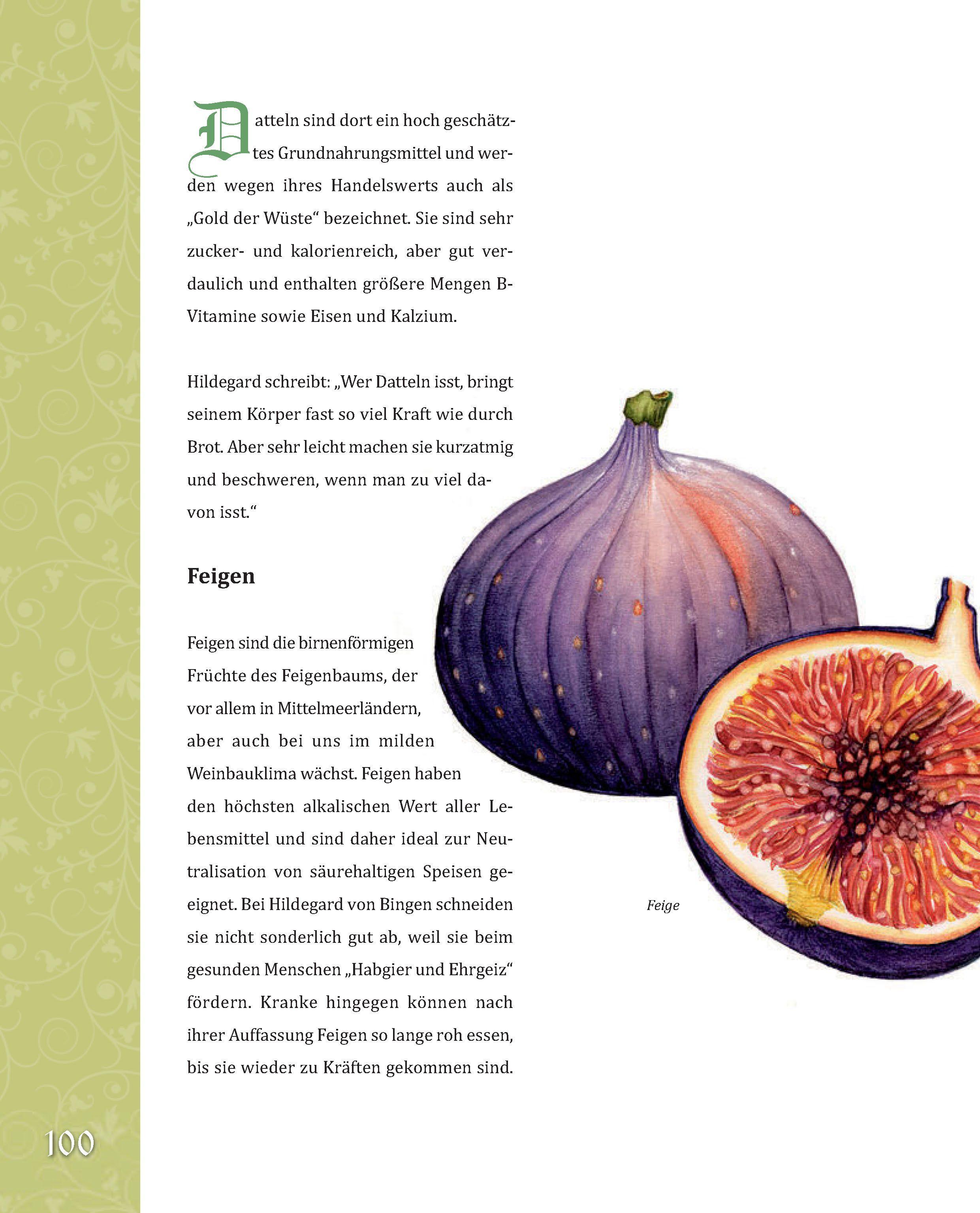 Beispielinhalt (Bild) Das große Buch der Hildegard von Bingen