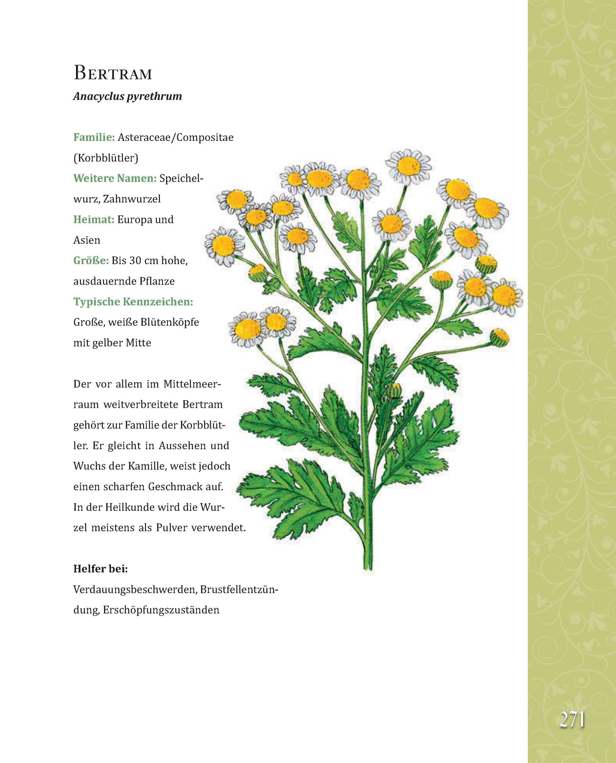 Beispielinhalt (Bild) Das große Buch der Hildegard von Bingen