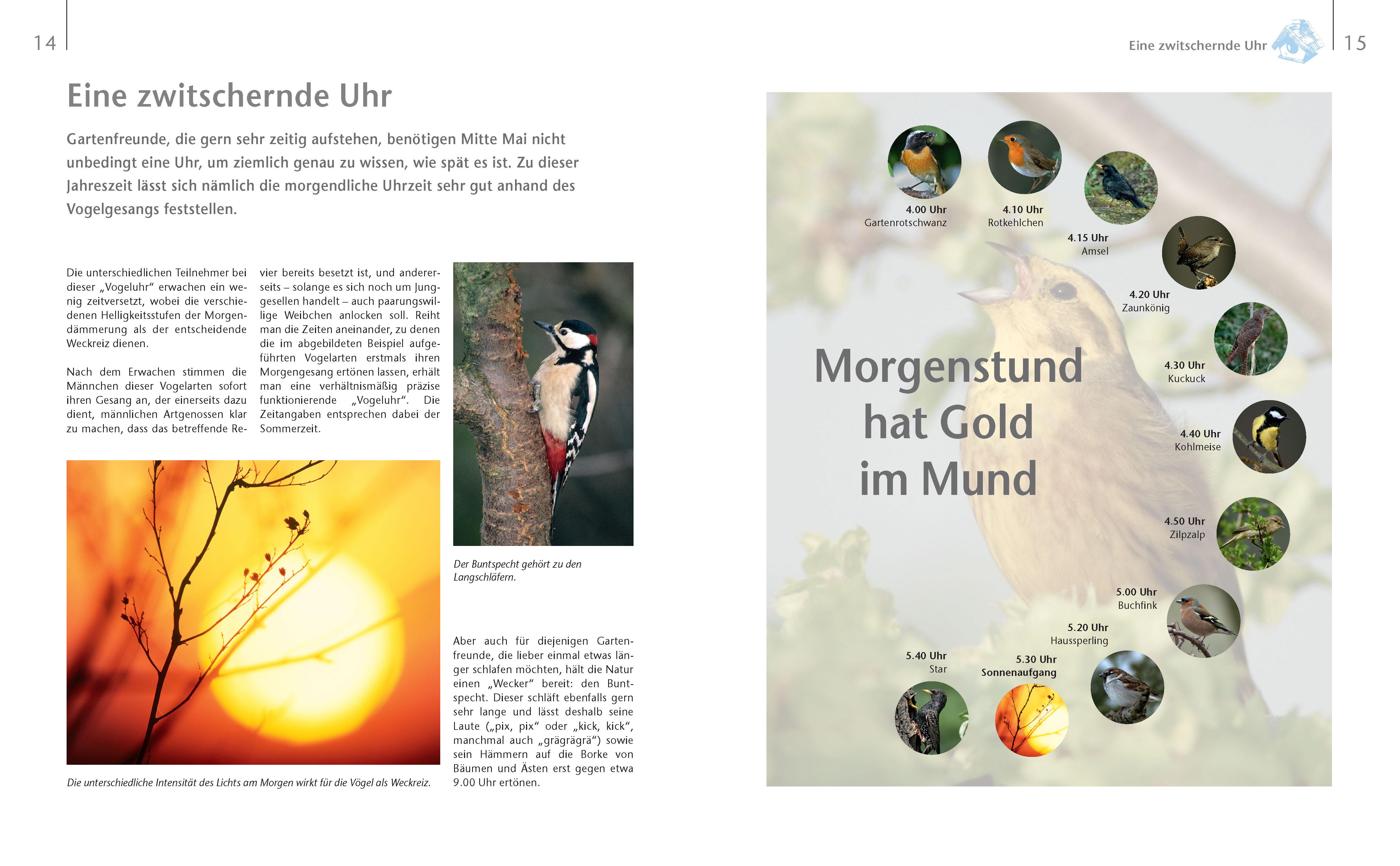 Beispielinhalt (Bild) Vögel zu Gast im Garten - Beobachten, bestimmen, schützen.