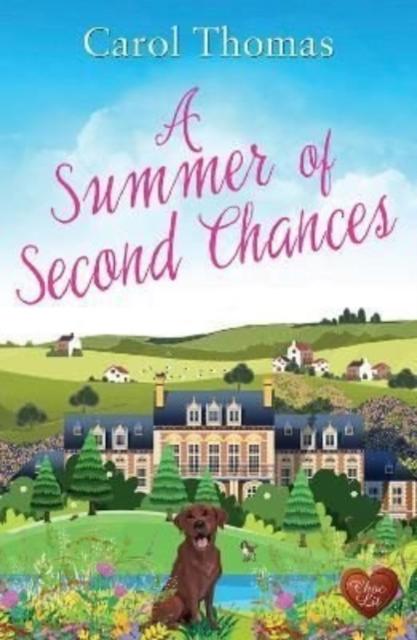 Vorderes Coverbild A Summer of Second Chances