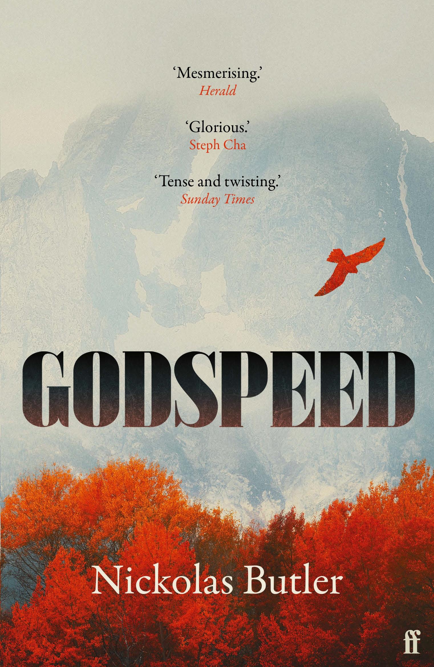 Vorderes Coverbild Godspeed