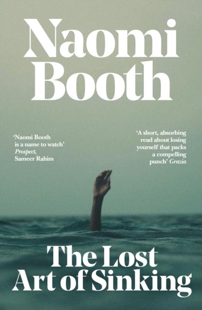 Vorderes Coverbild The Lost Art of Sinking