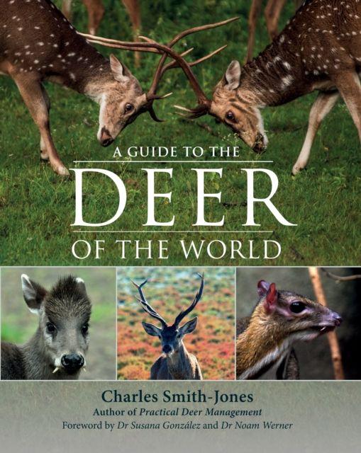 Vorderes Coverbild A Guide to the Deer of the World