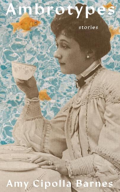 Vorderes Coverbild Ambrotypes