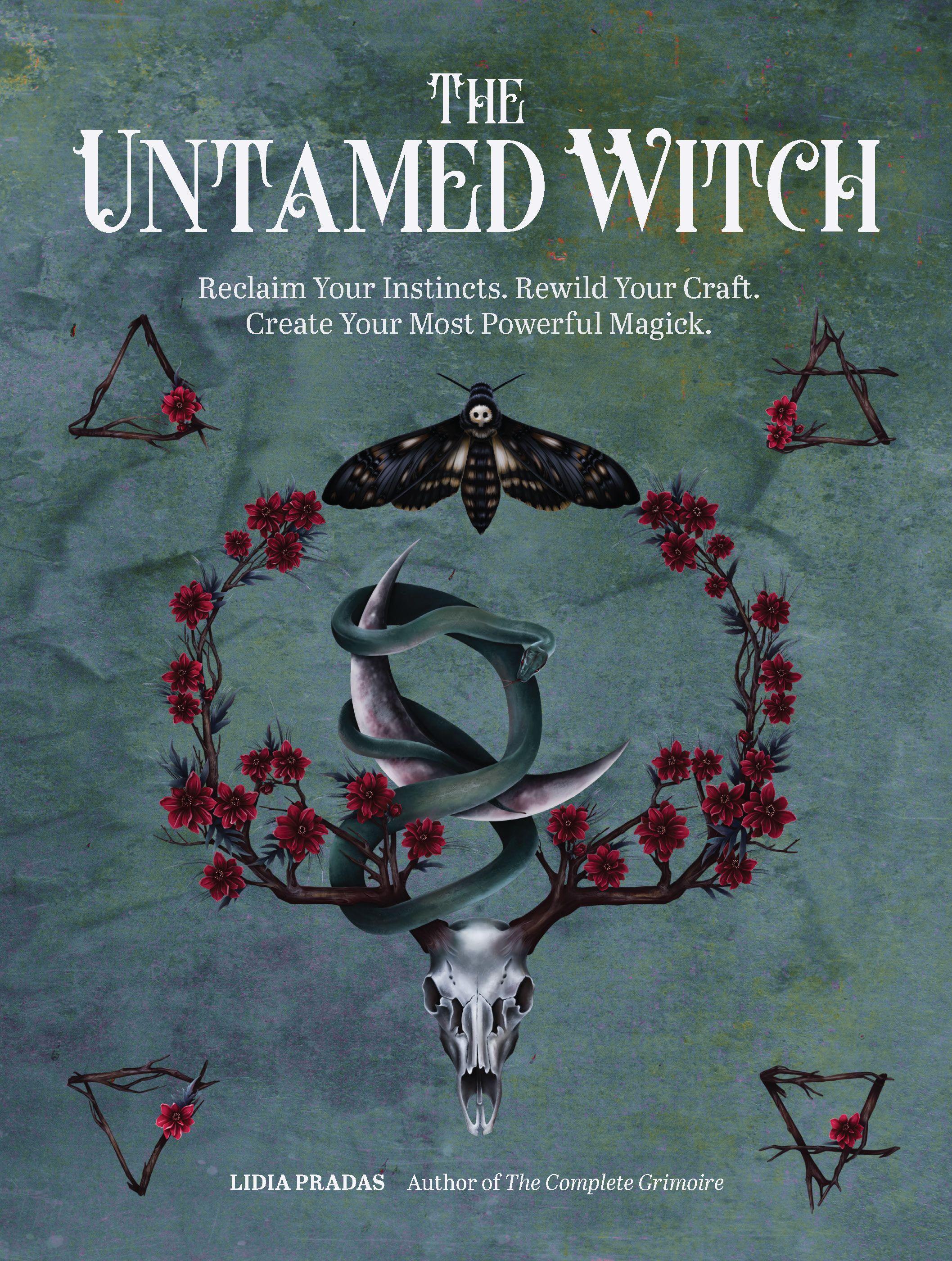 Vorderes Coverbild The Untamed Witch