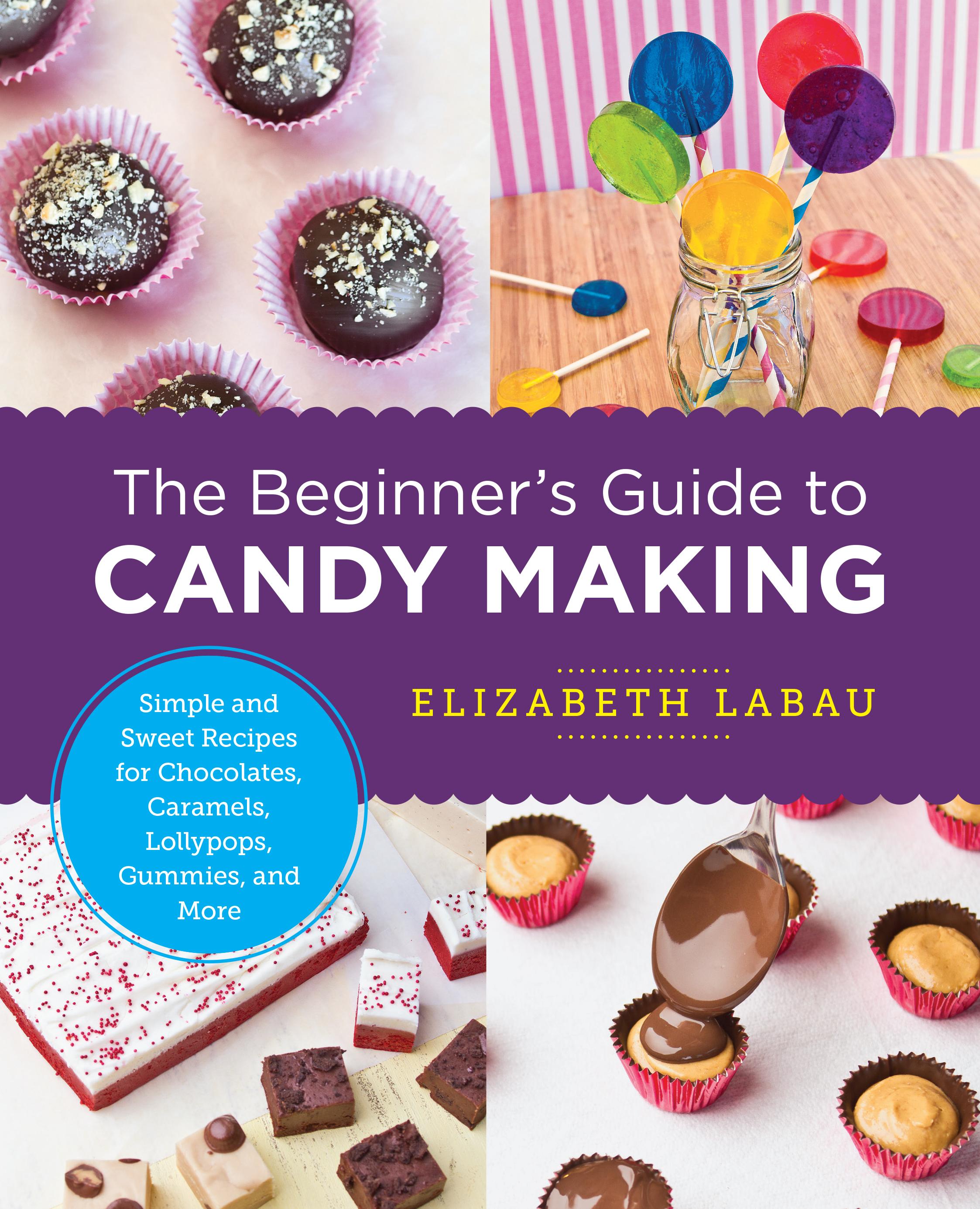Vorderes Coverbild The Beginner's Guide to Candy Making