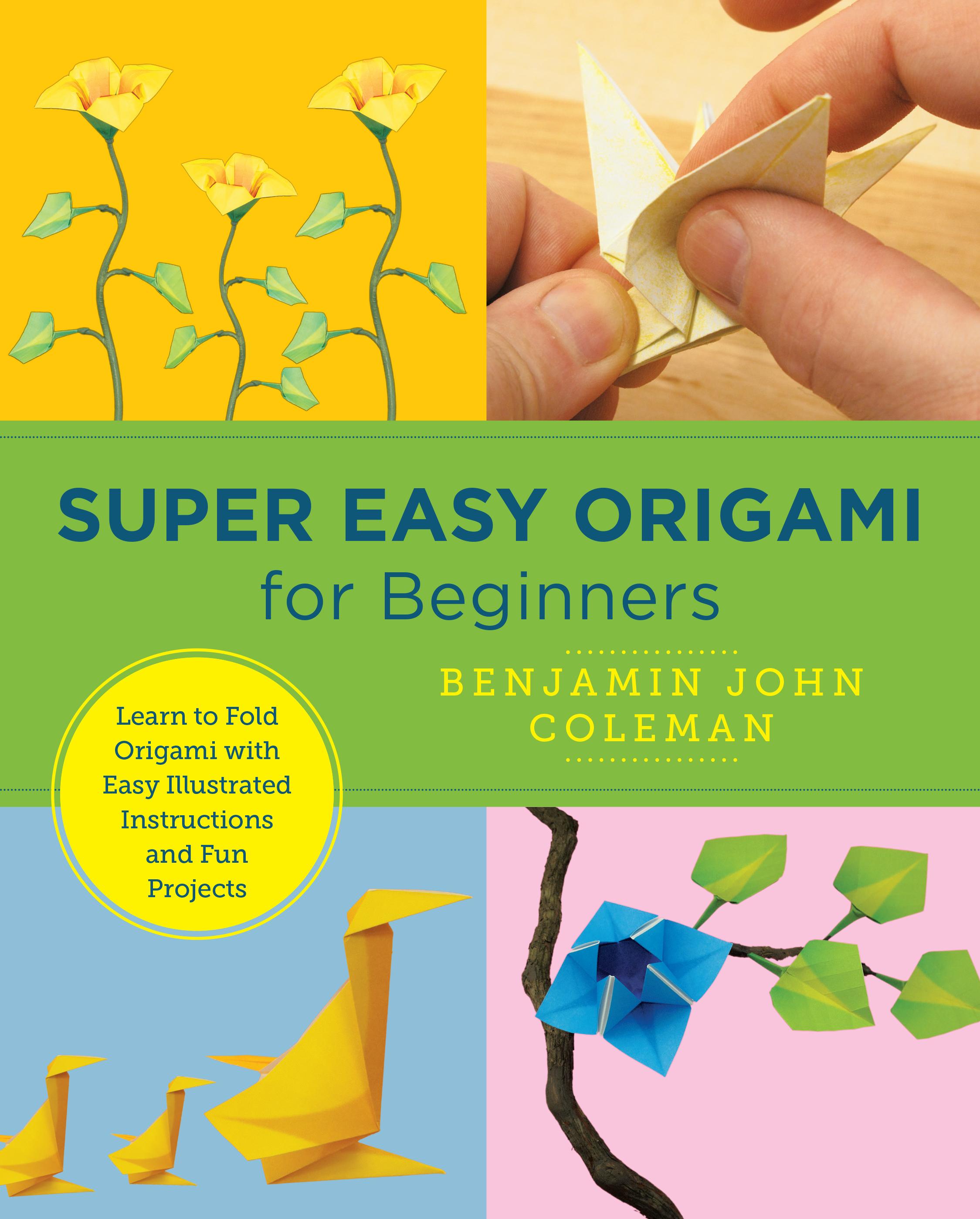 Vorderes Coverbild Super Easy Origami for Beginners