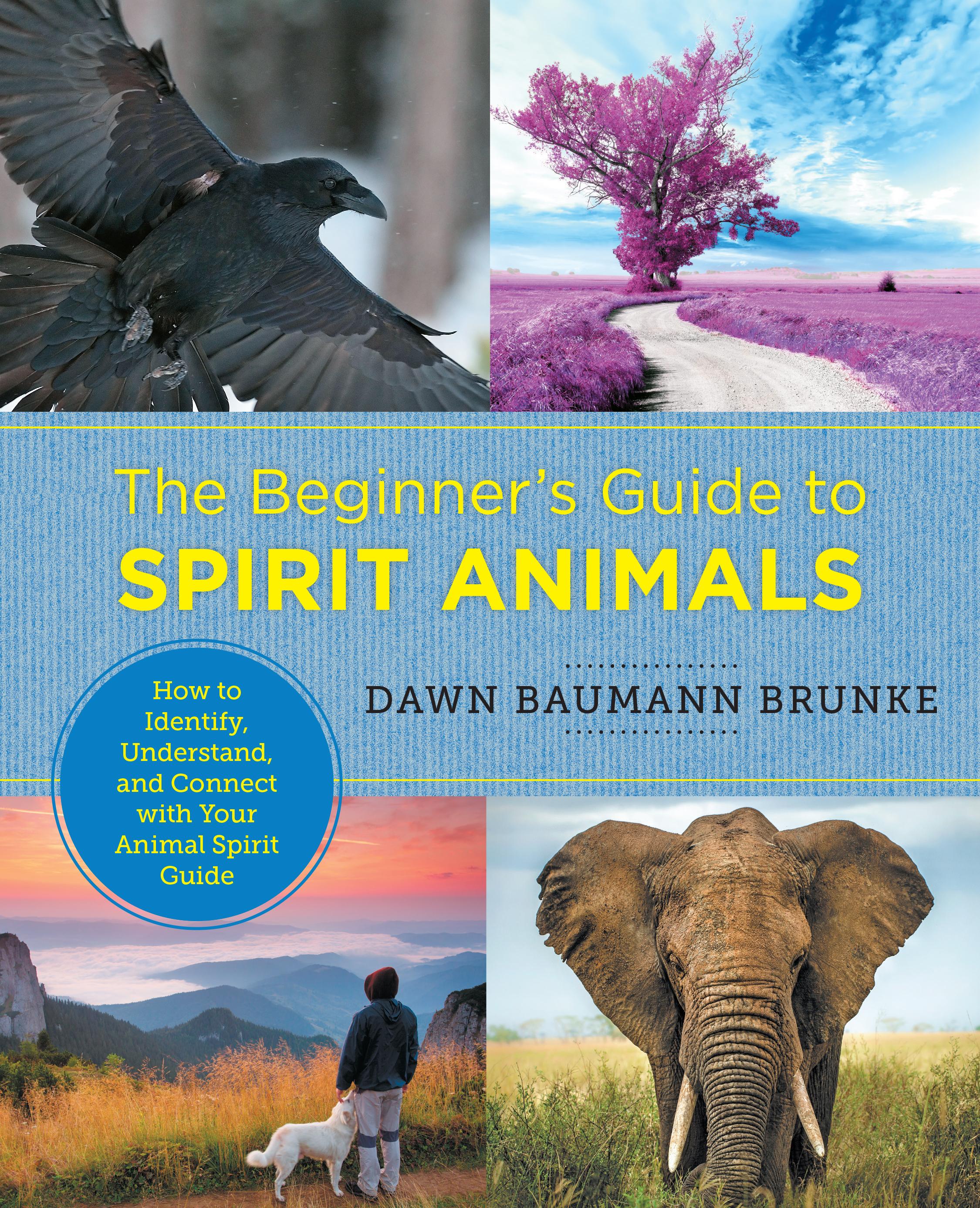 Vorderes Coverbild The Beginner's Guide to Spirit Animals