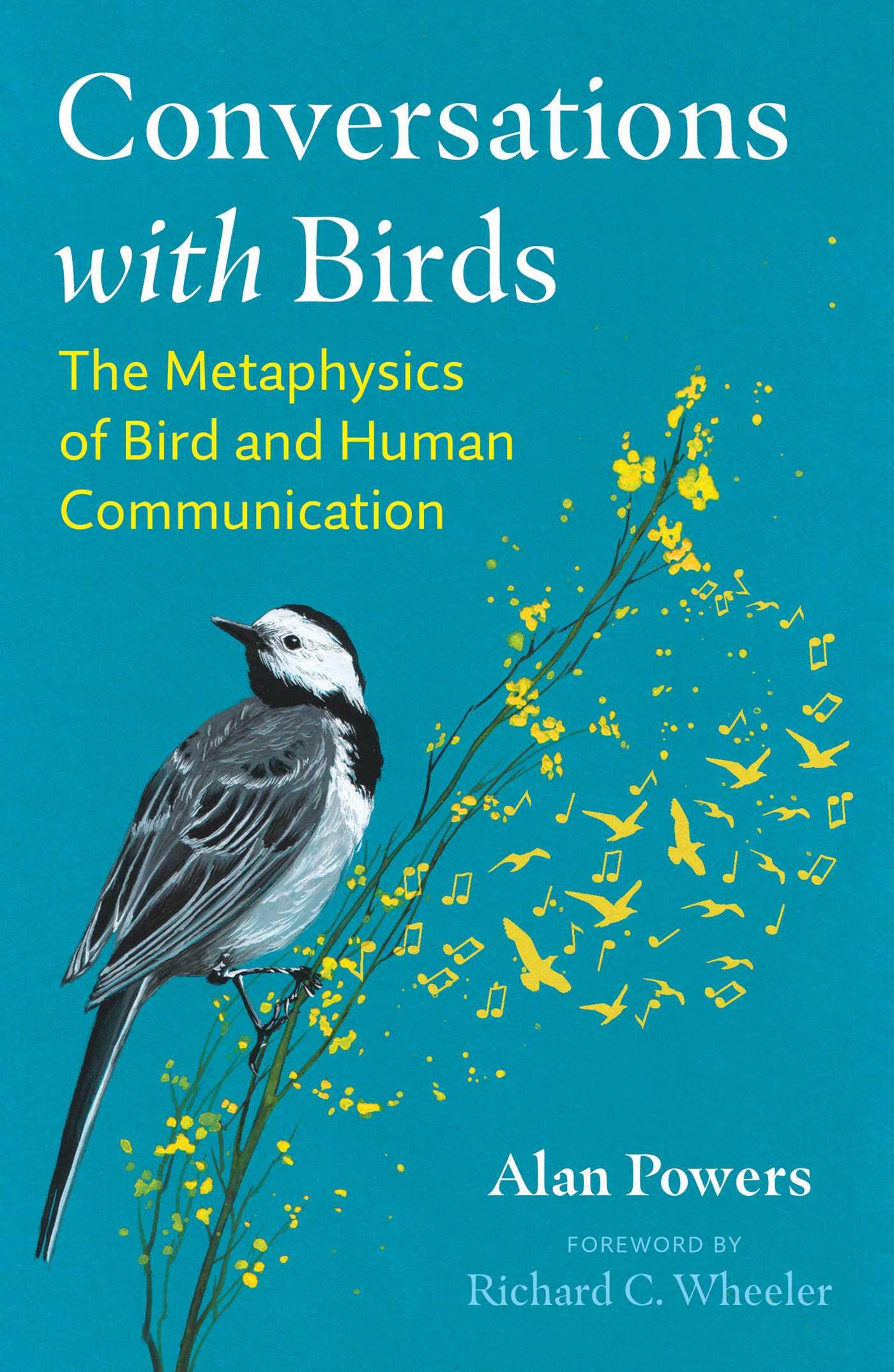 Vorderes Coverbild Conversations with Birds