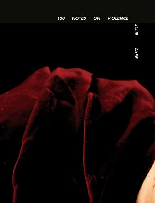 Vorderes Coverbild 100 Notes on Violence