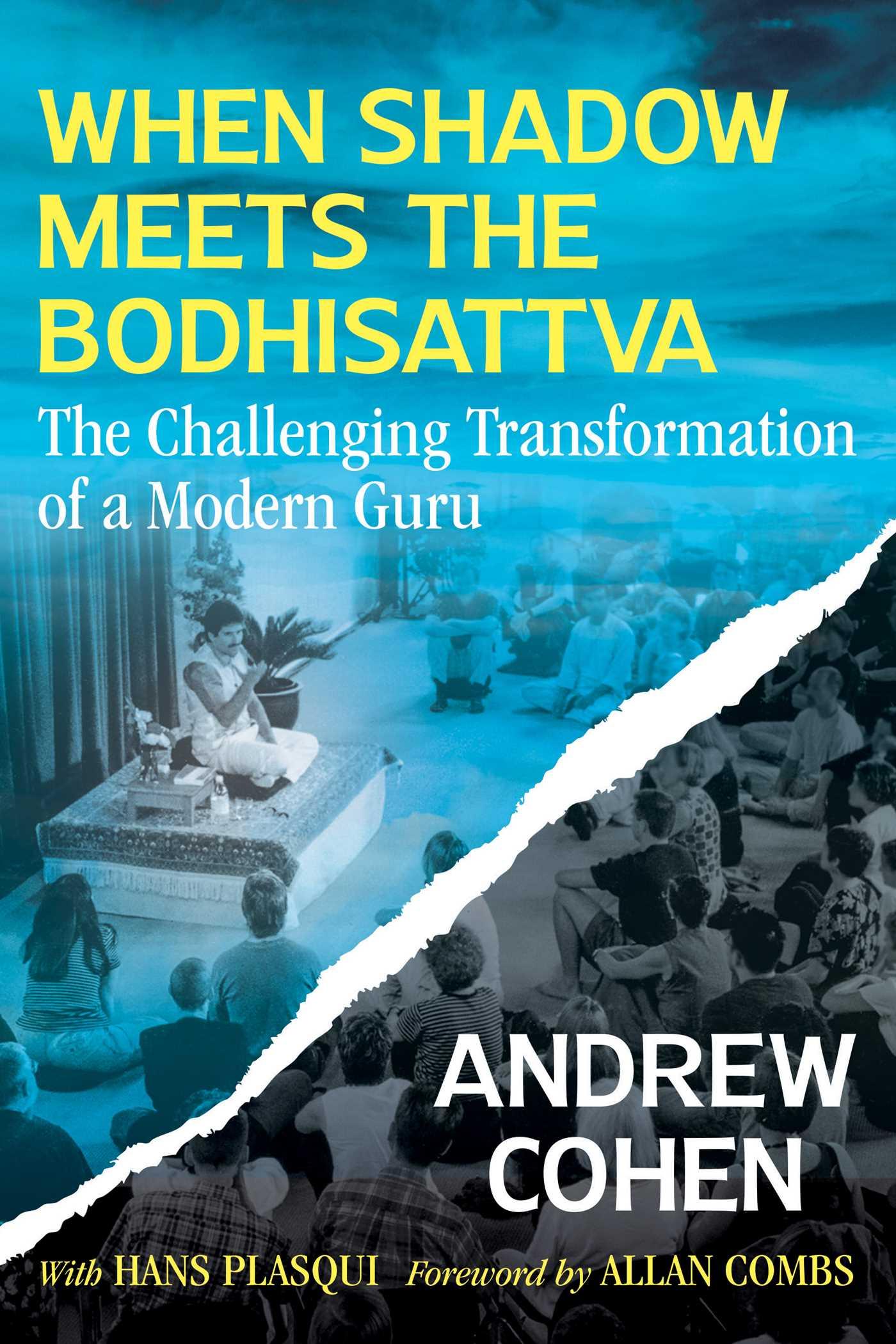 Vorderes Coverbild When Shadow Meets the Bodhisattva