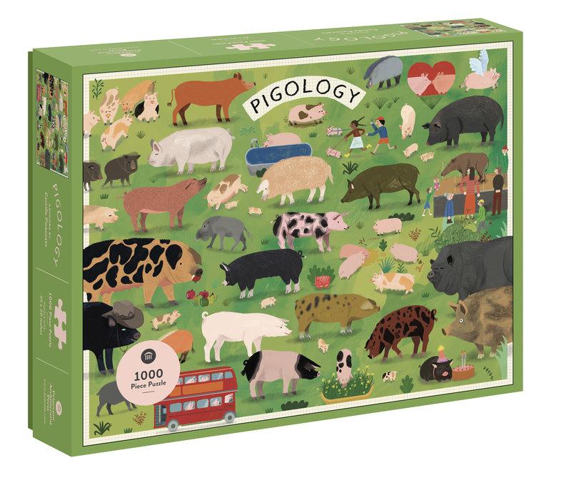 Vorderes Coverbild Pigology Puz