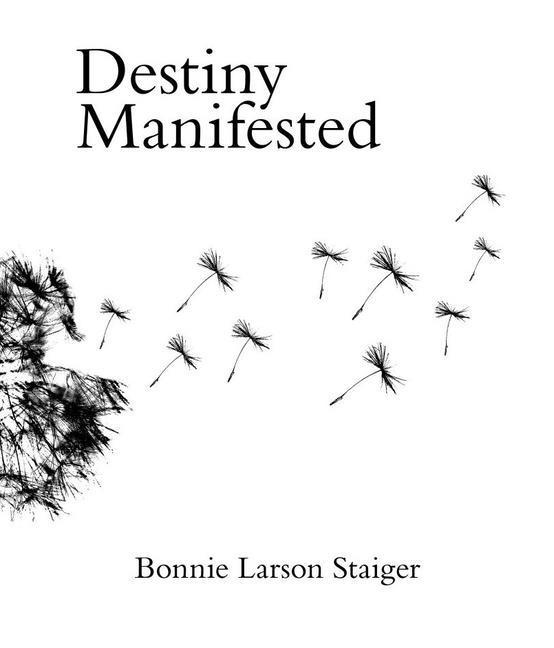 Vorderes Coverbild Destiny Manifested