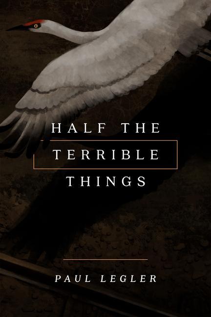 Vorderes Coverbild Half the Terrible Things