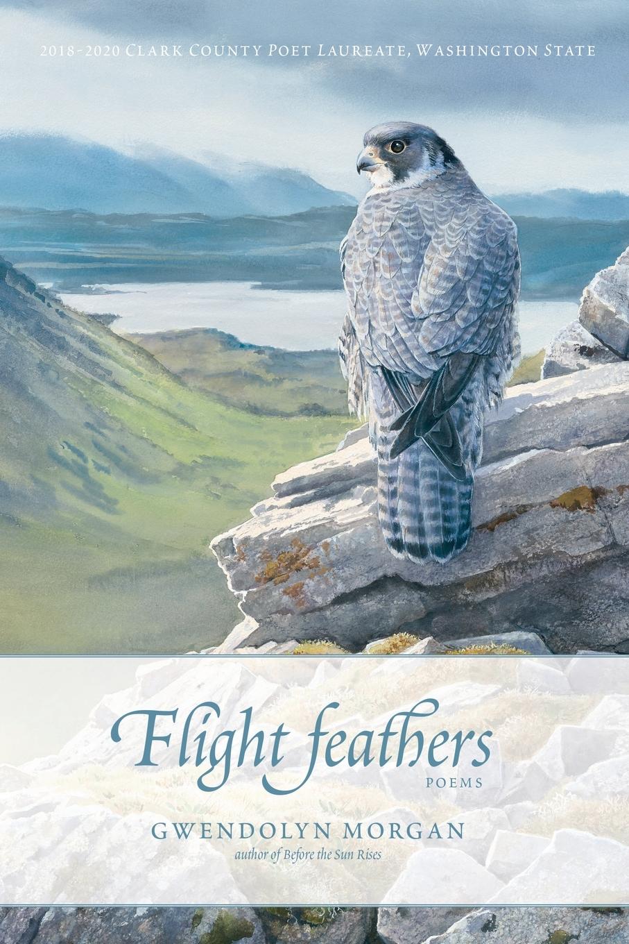 Vorderes Coverbild Flight Feathers