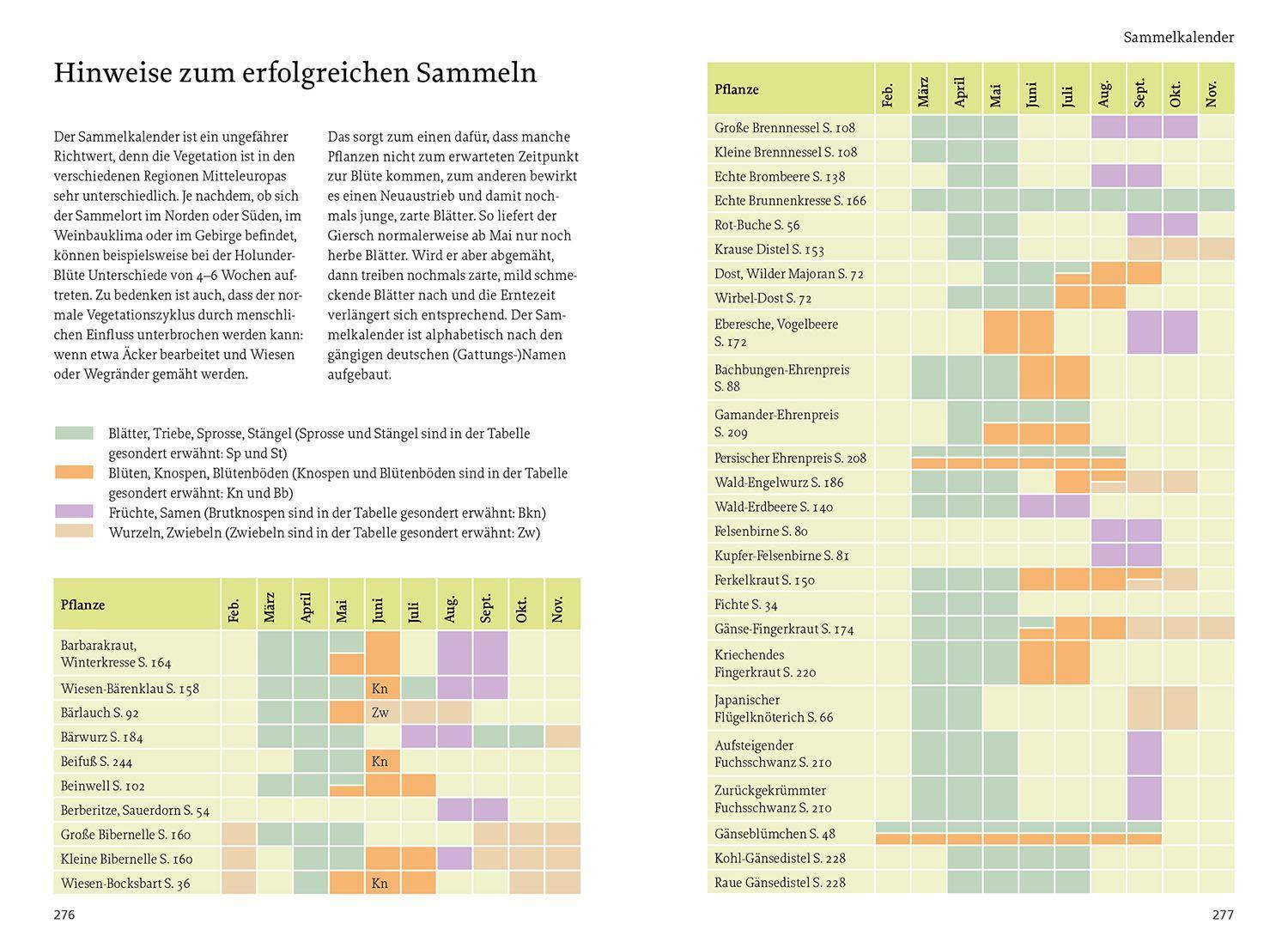 Beispielinhalt (Bild) Unsere essbaren Wildpflanzen