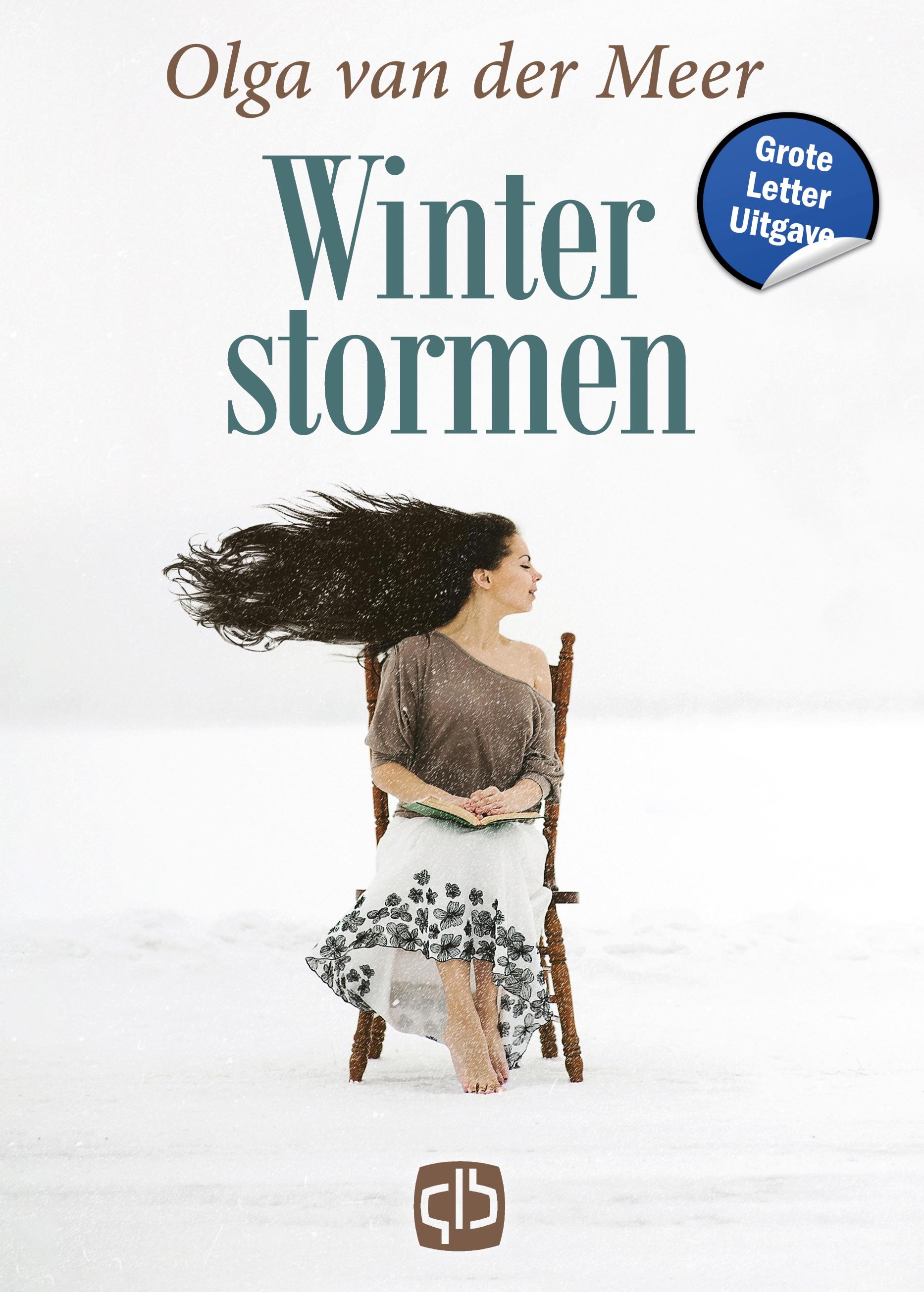 Vorderes Coverbild Winterstormen